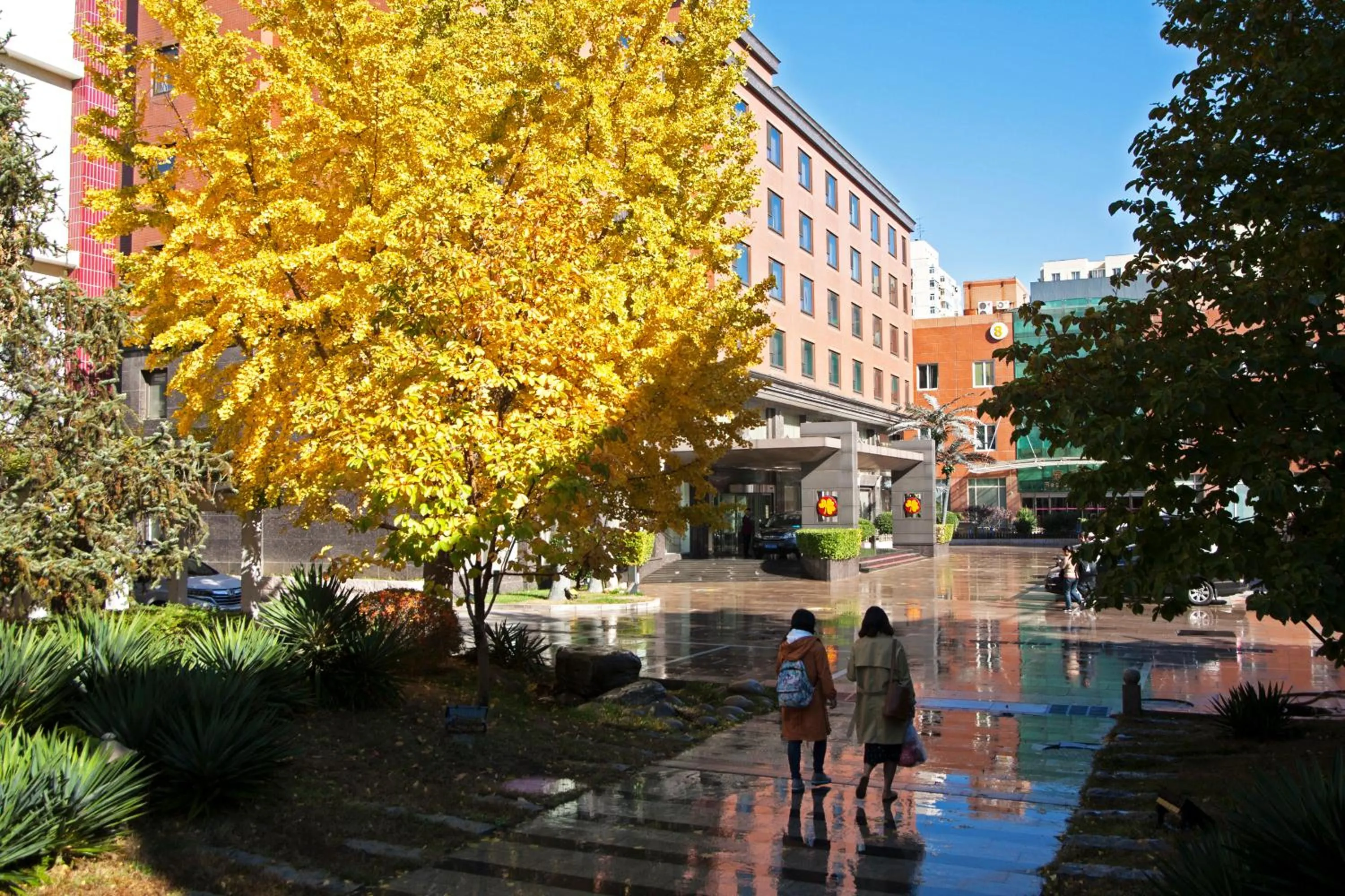 Garden view in Xijiao Hotel Beijing