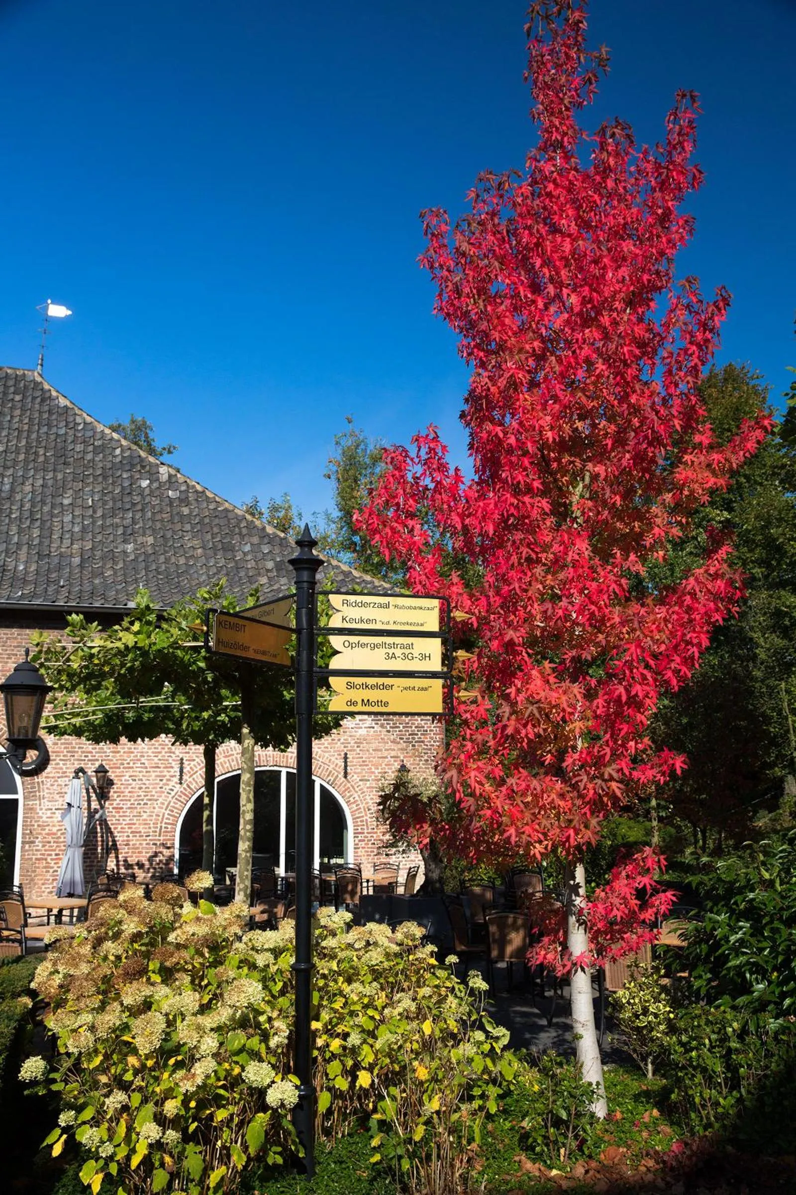 Neighbourhood in Baart's Bed and Breakfast