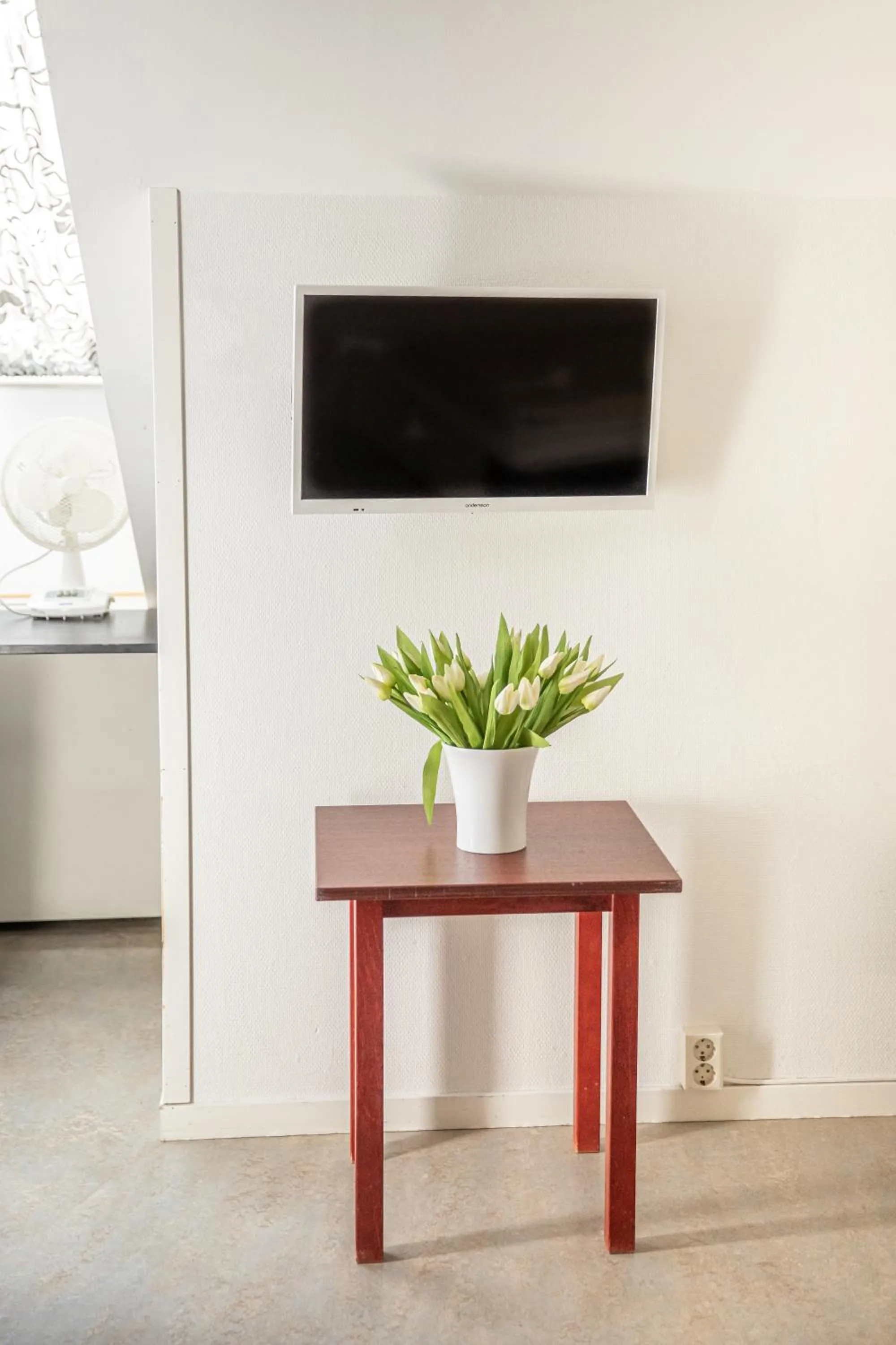 TV and multimedia in Hotel Kupolen