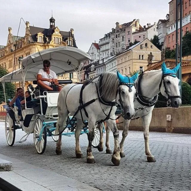 Animals in Ferdinandhof Apart-Hotel