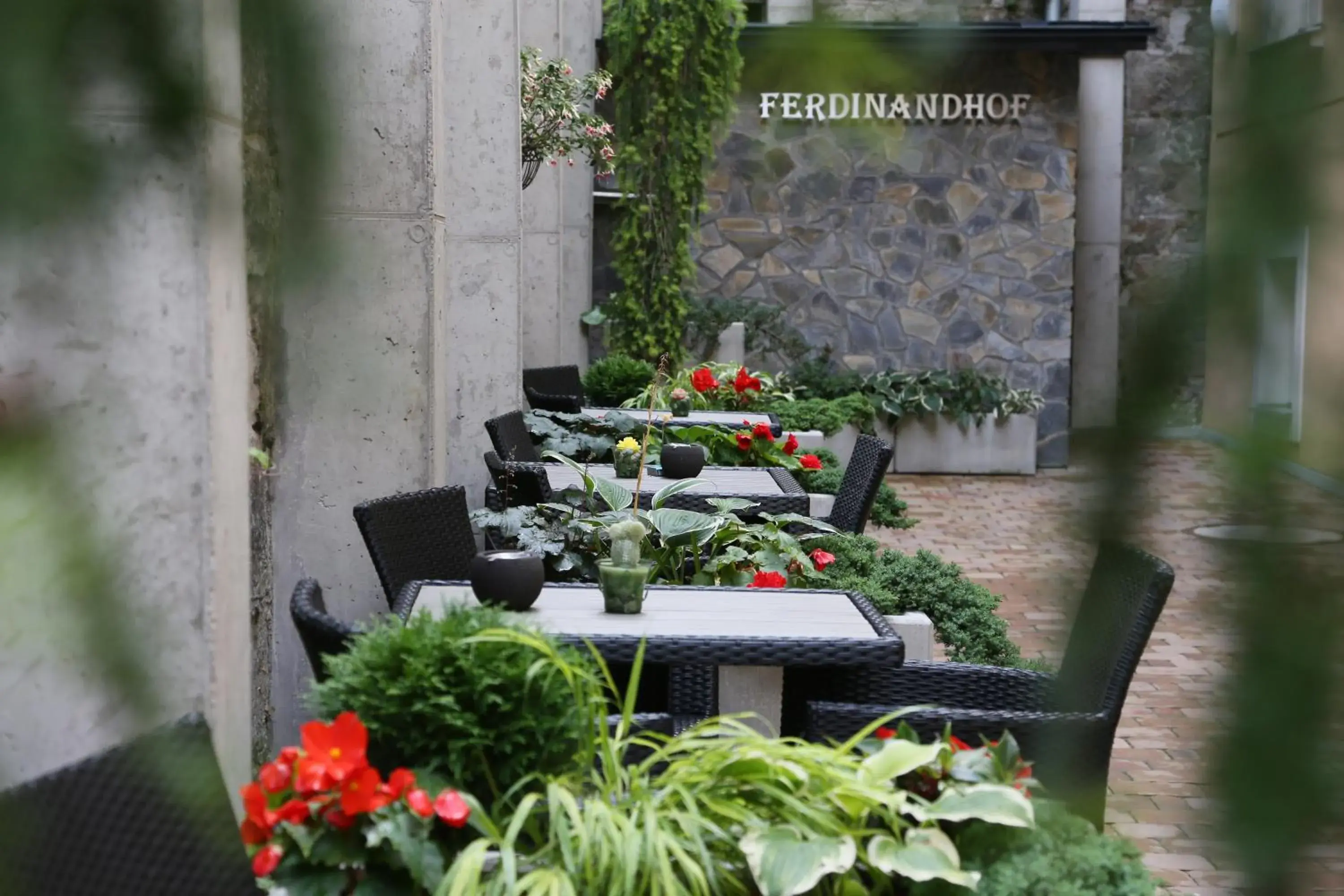 Patio in Ferdinandhof Apart-Hotel Patio in Ferdinandhof Apart-Hotel