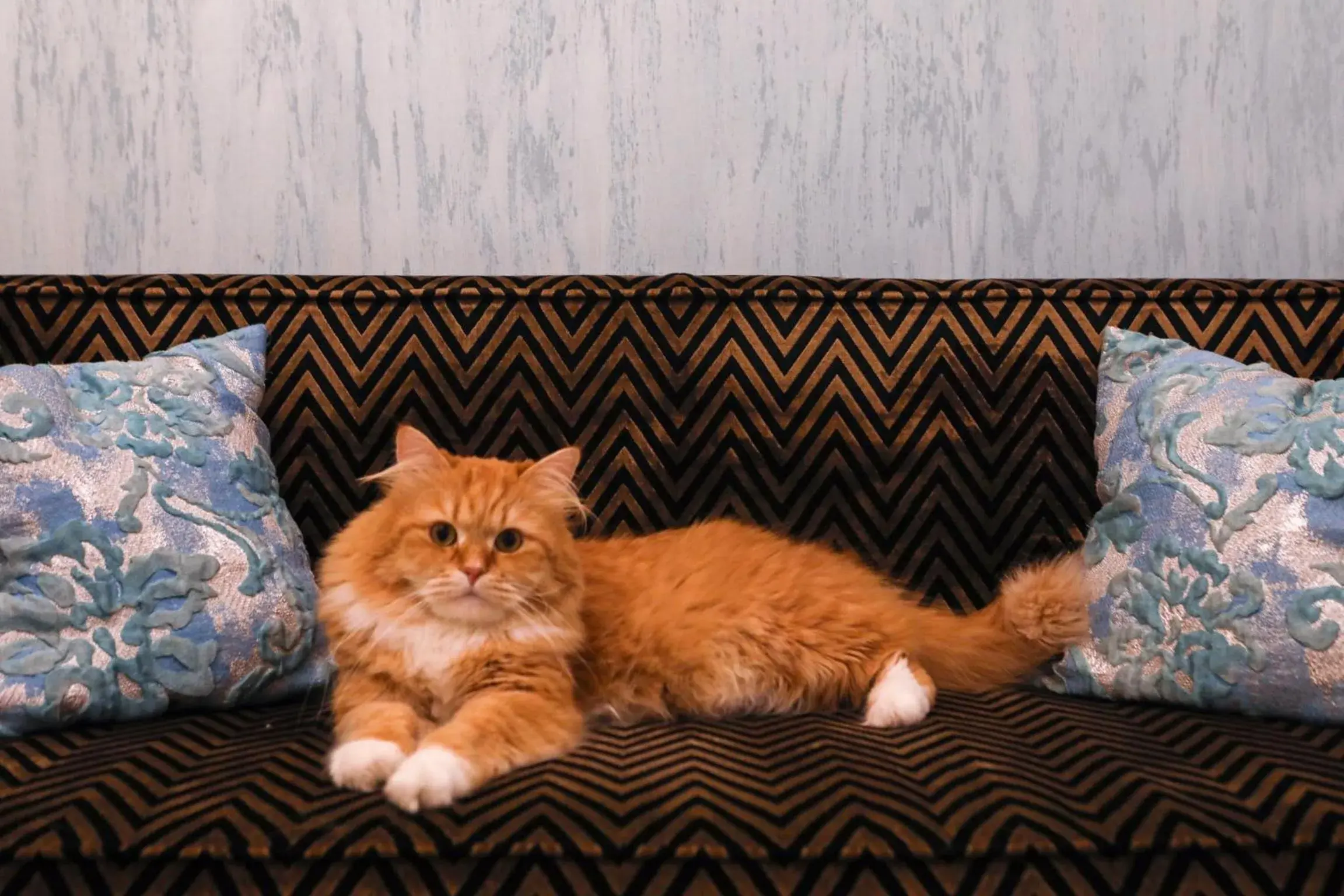 Ferdinandhof Apart-Hotel Ferdinandhof Apart-Hotel