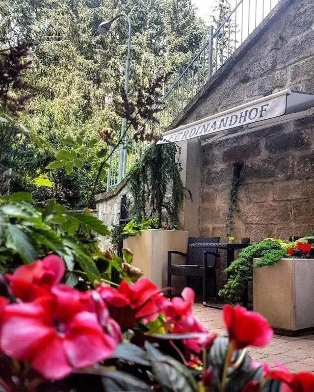 Patio in Ferdinandhof Apart-Hotel Patio in Ferdinandhof Apart-Hotel