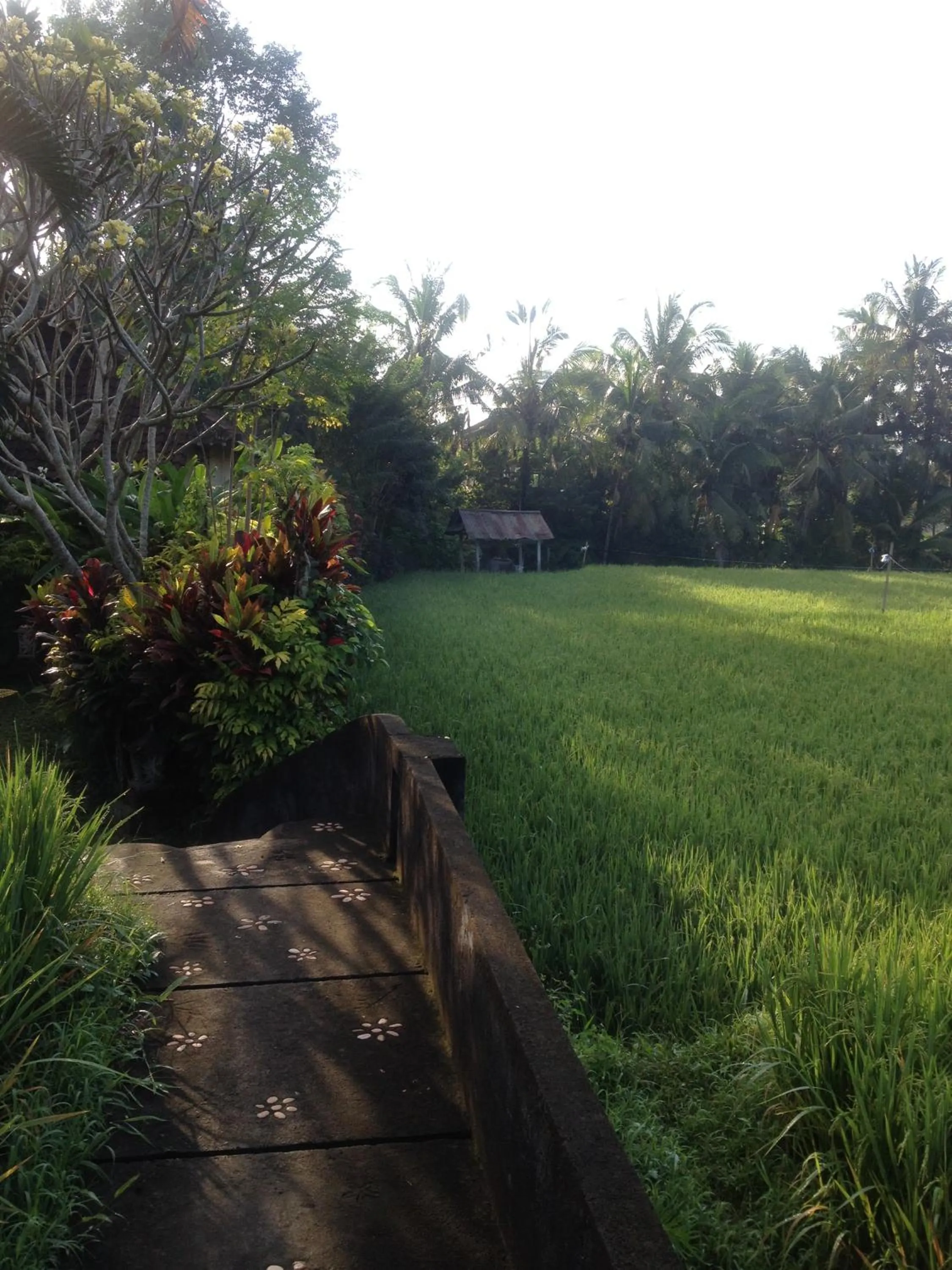 Property building in Bali Firefly BnB