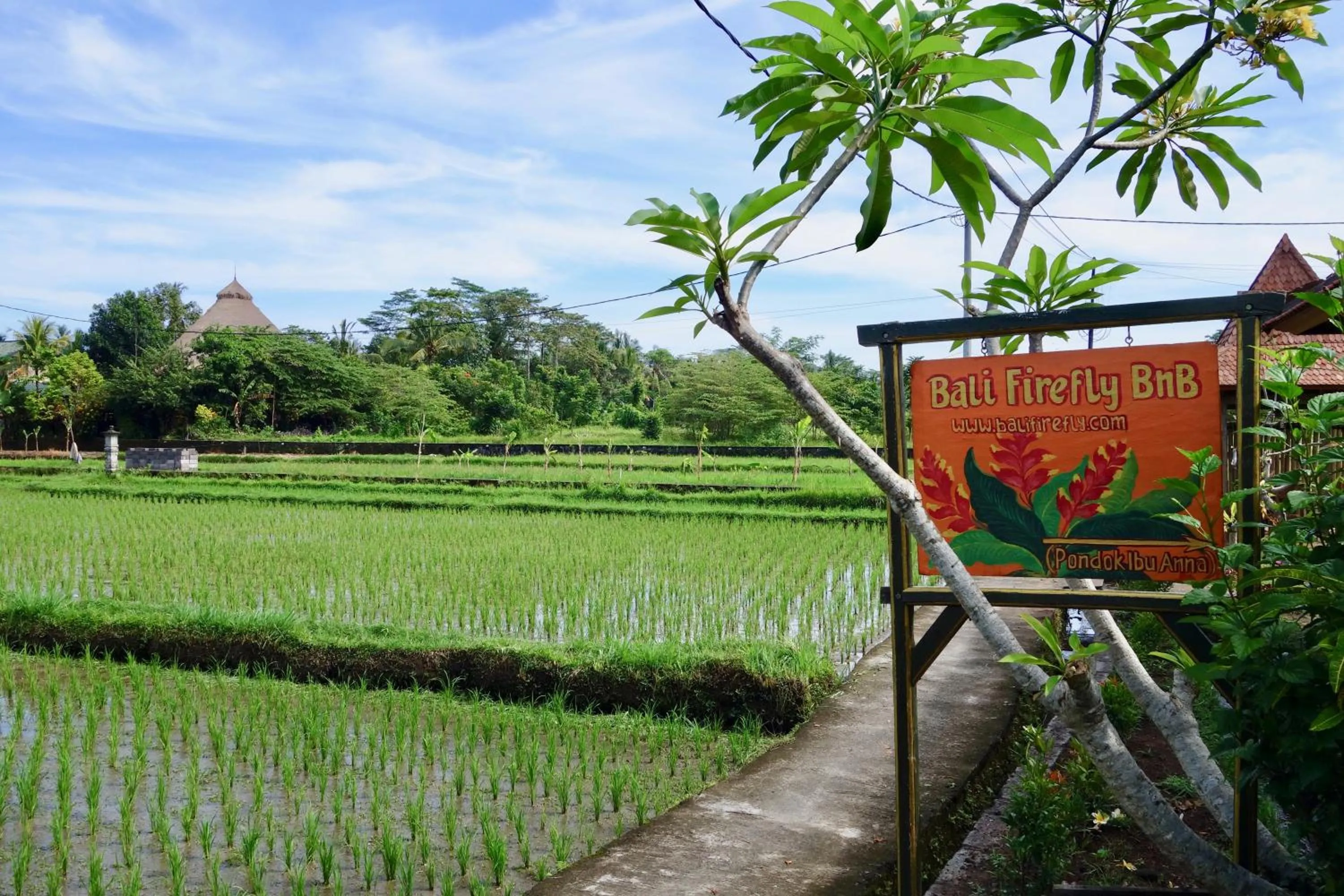 Property building in Bali Firefly BnB