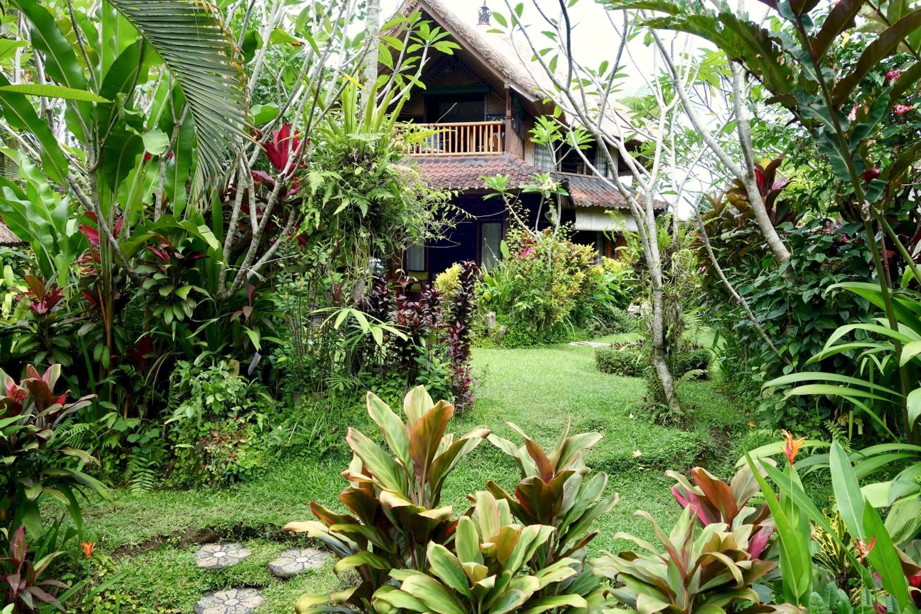 Natural landscape in Bali Firefly BnB
