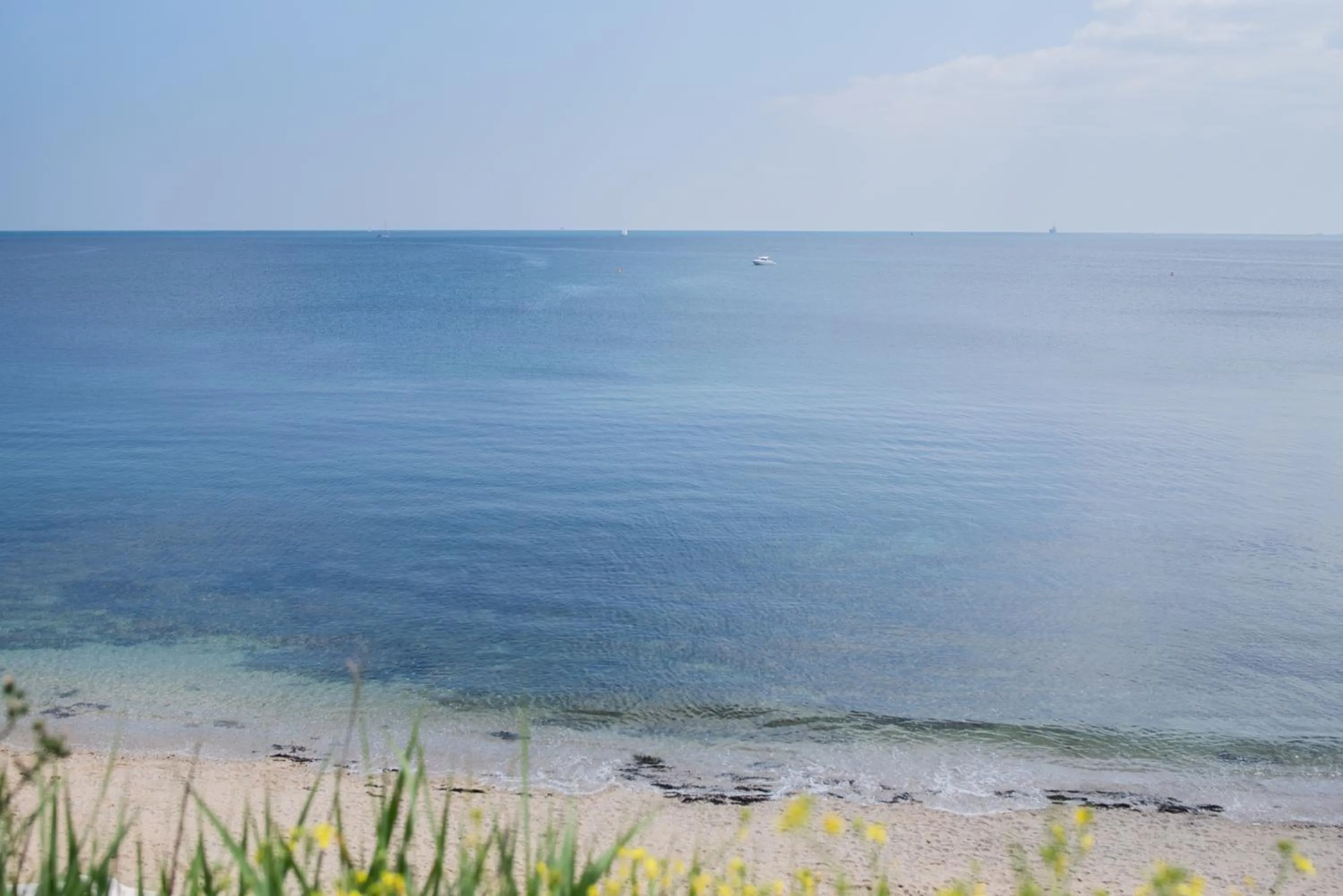 Natural landscape in The Falmouth Hotel