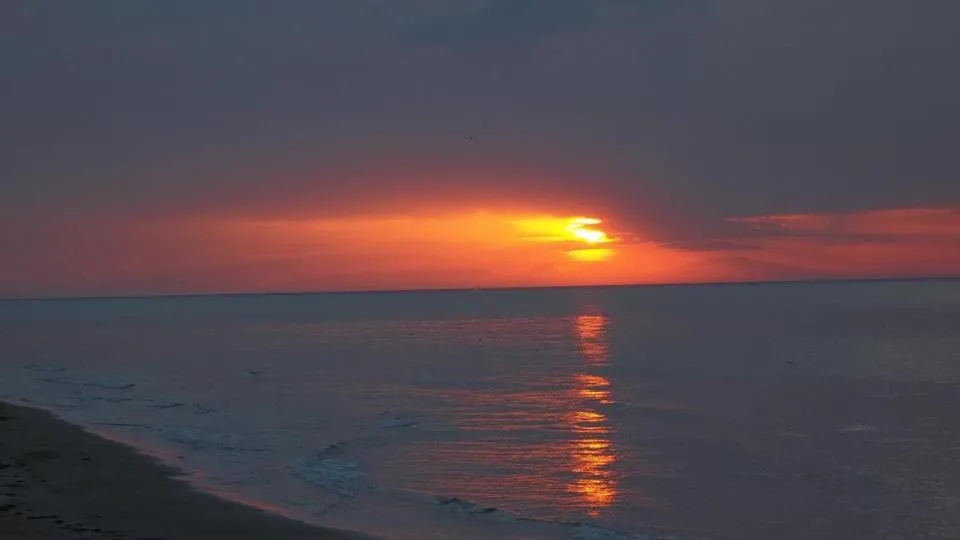 Beach in Affittacamere Murgenere