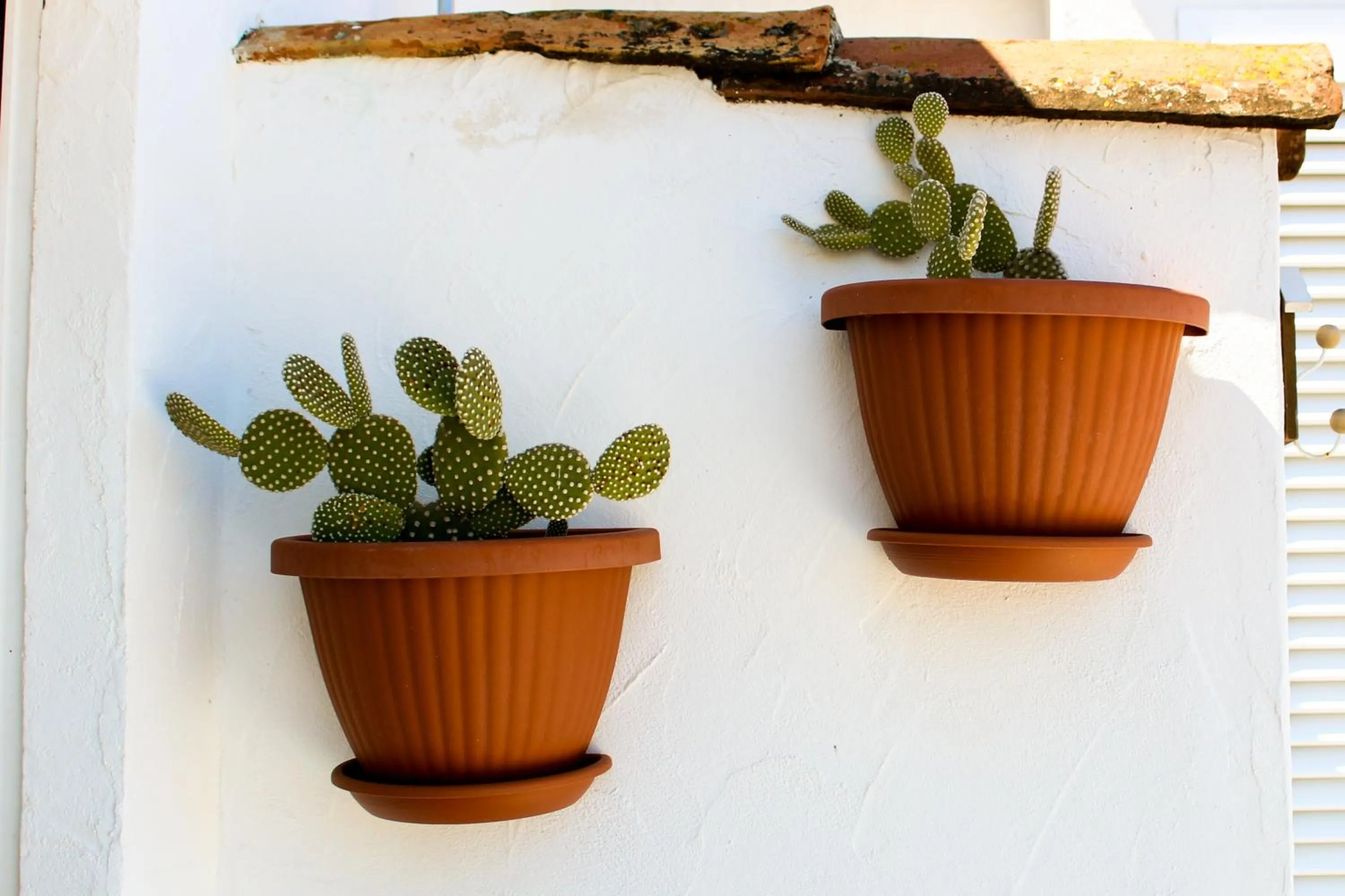 Decorative detail in Azzurro B&B