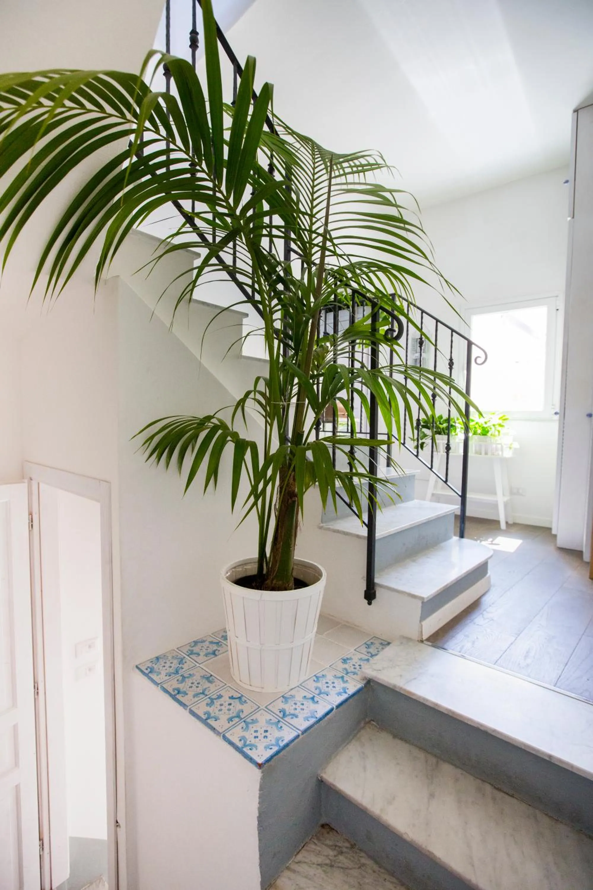 Facade/entrance in Azzurro B&B