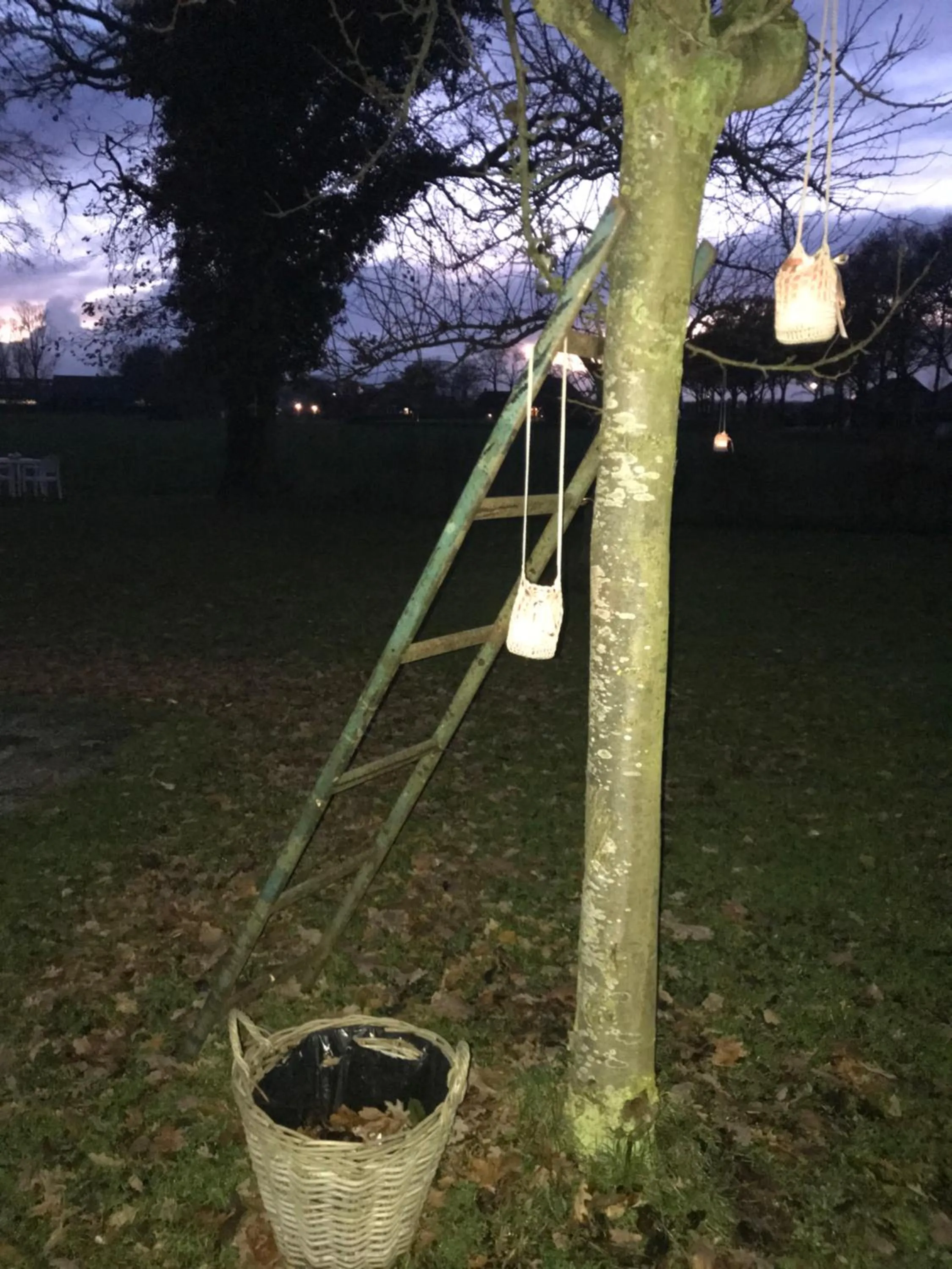 Garden in De Beddestee