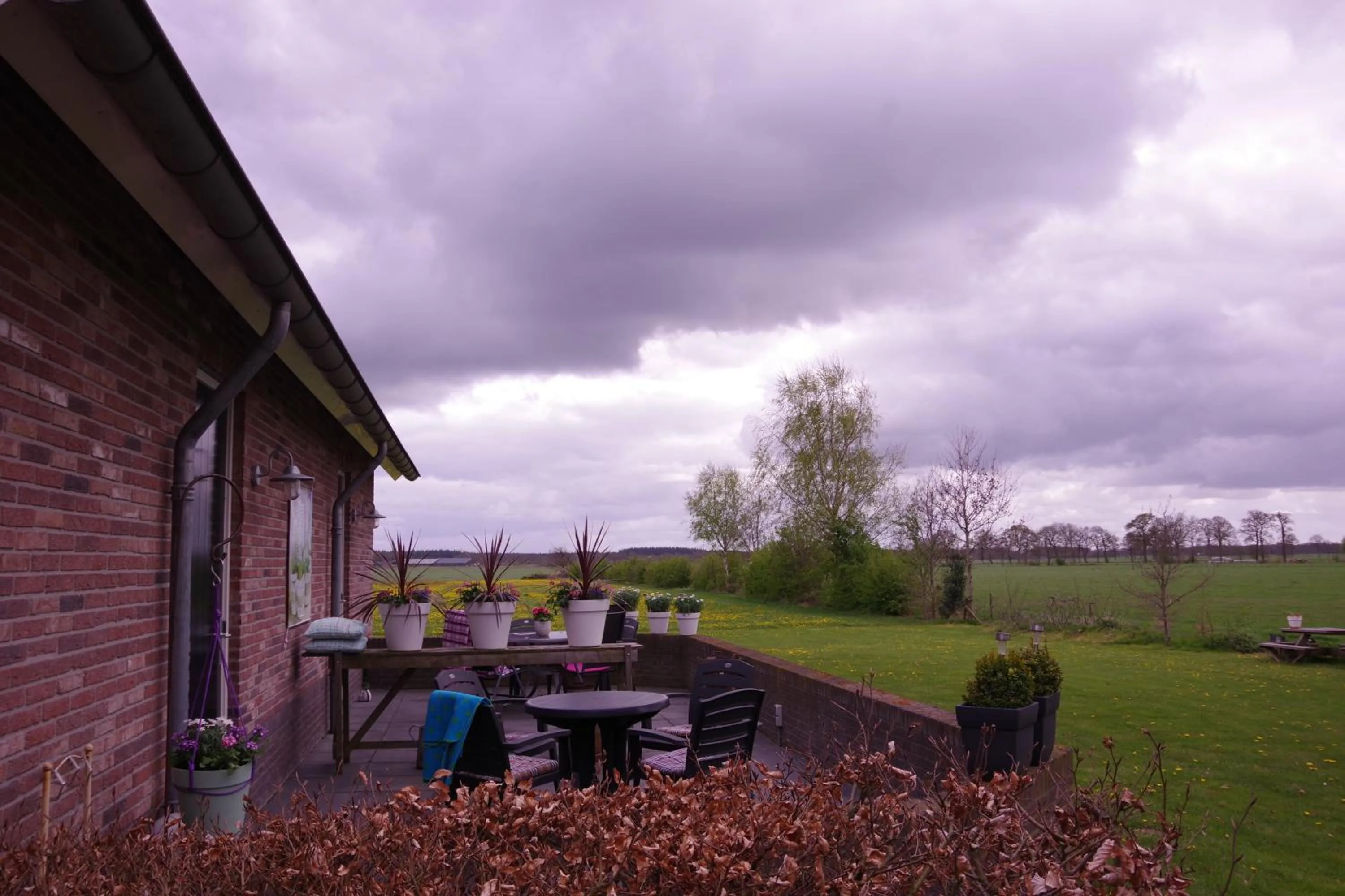 Natural landscape in De Beddestee