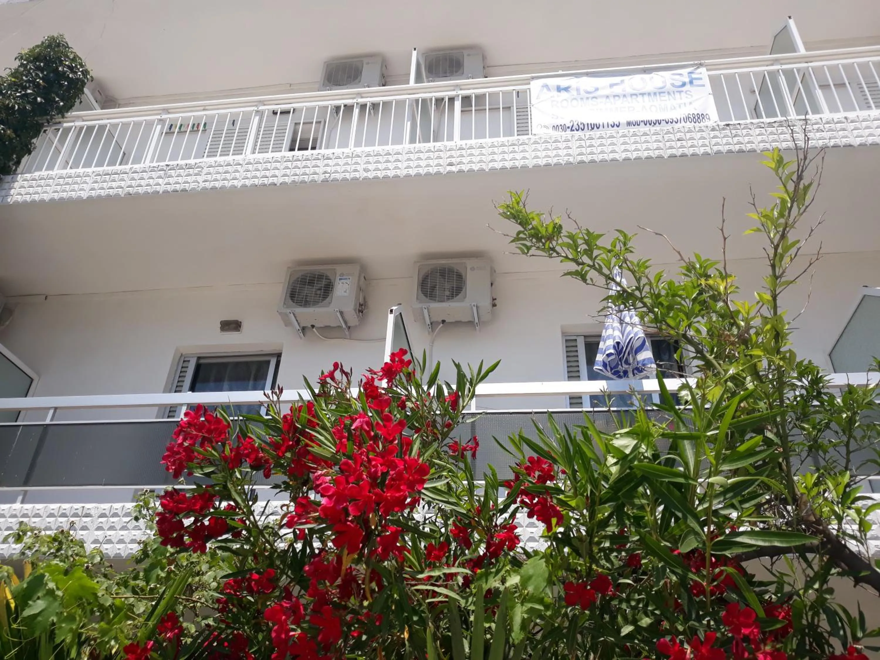 Aris House