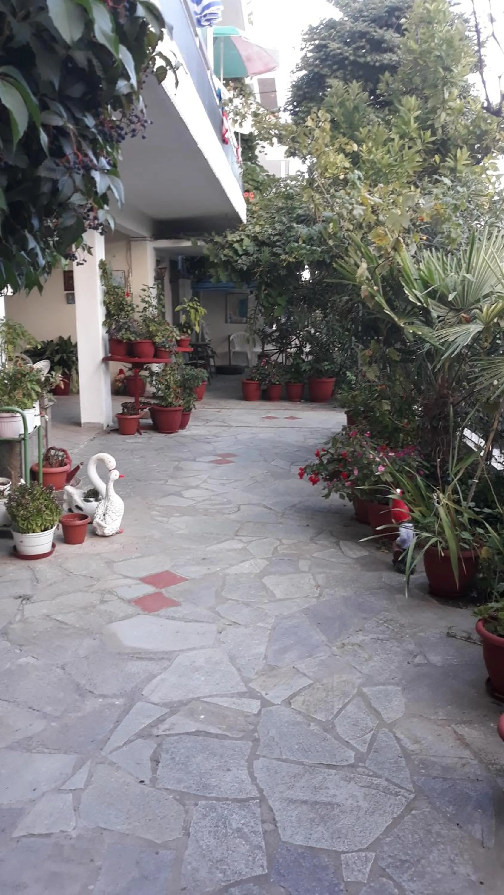 Aris House
