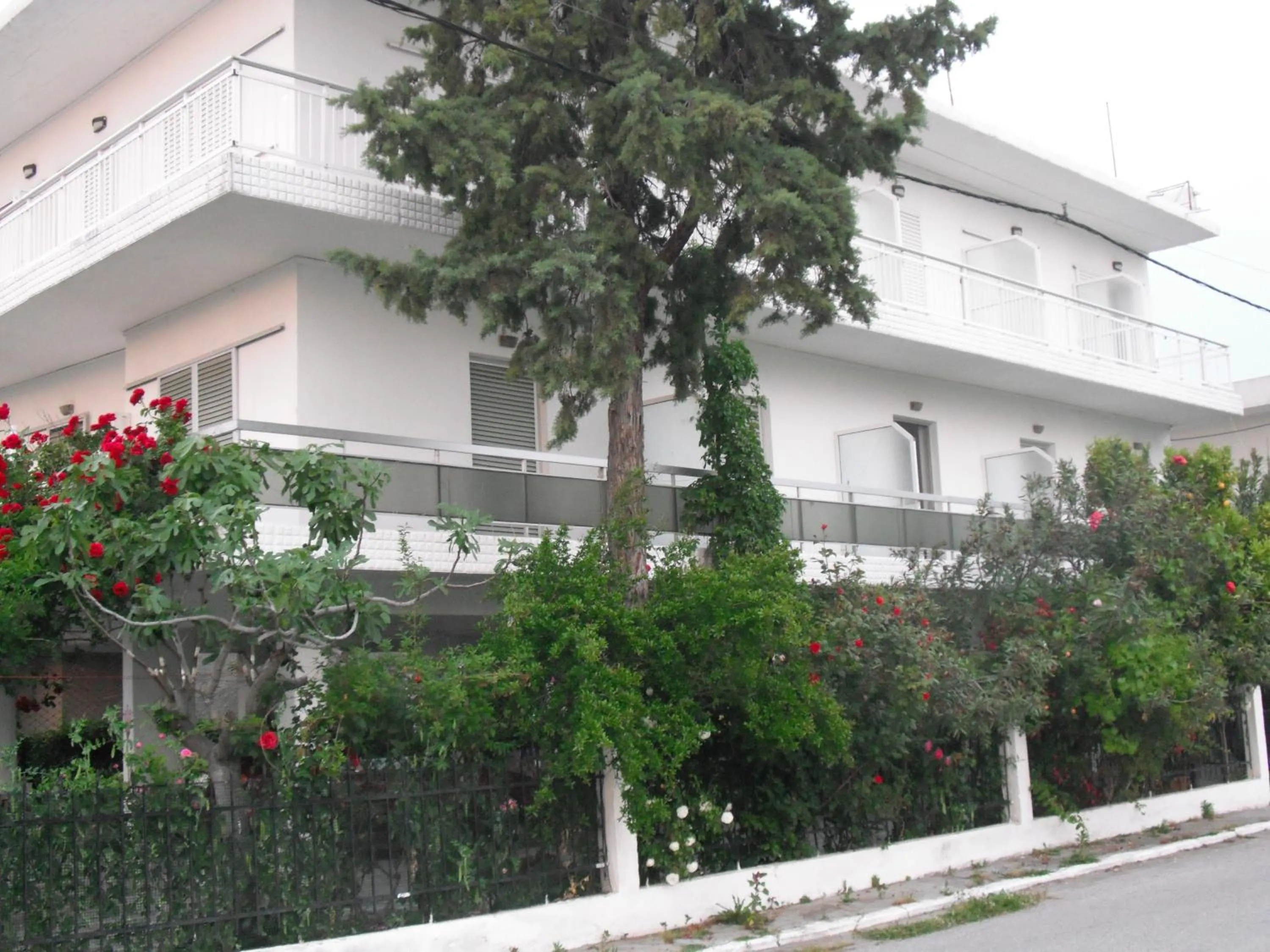 Facade/entrance in Aris House