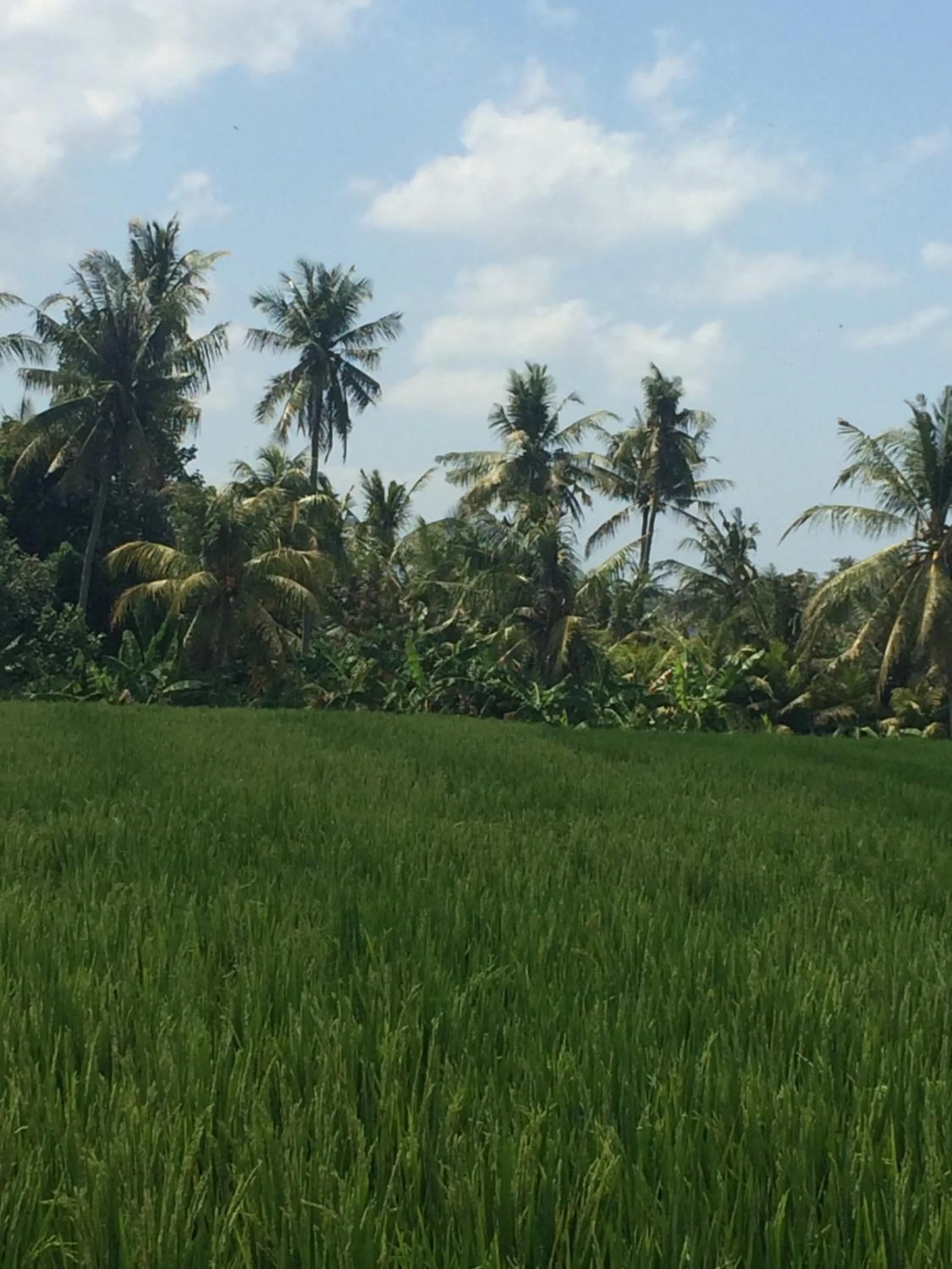 Nearby landmark in Bali Full Moon Guest House