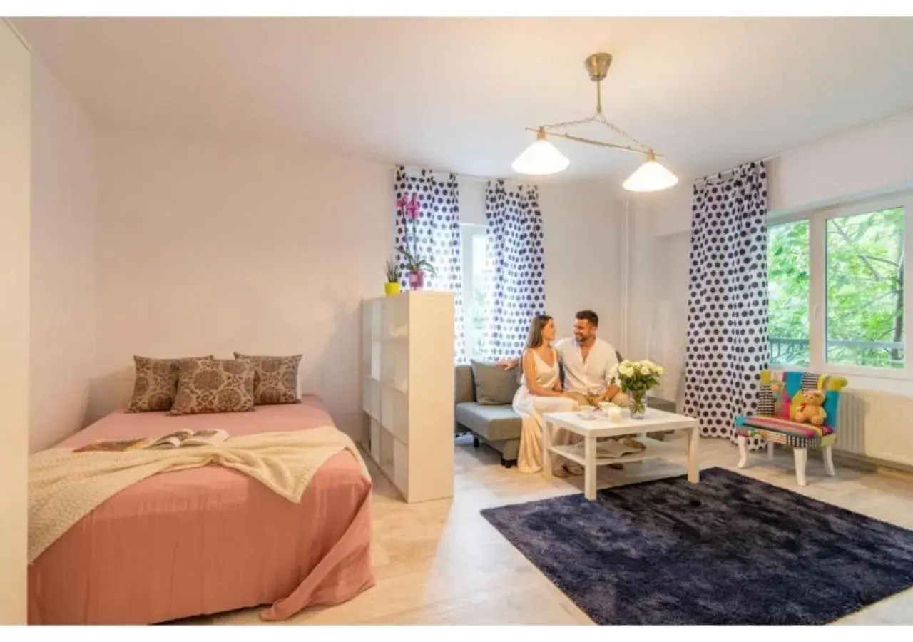 Modern Studio Close to Iancului Metro with WiFi Modern Studio Close to Iancului Metro with WiFi