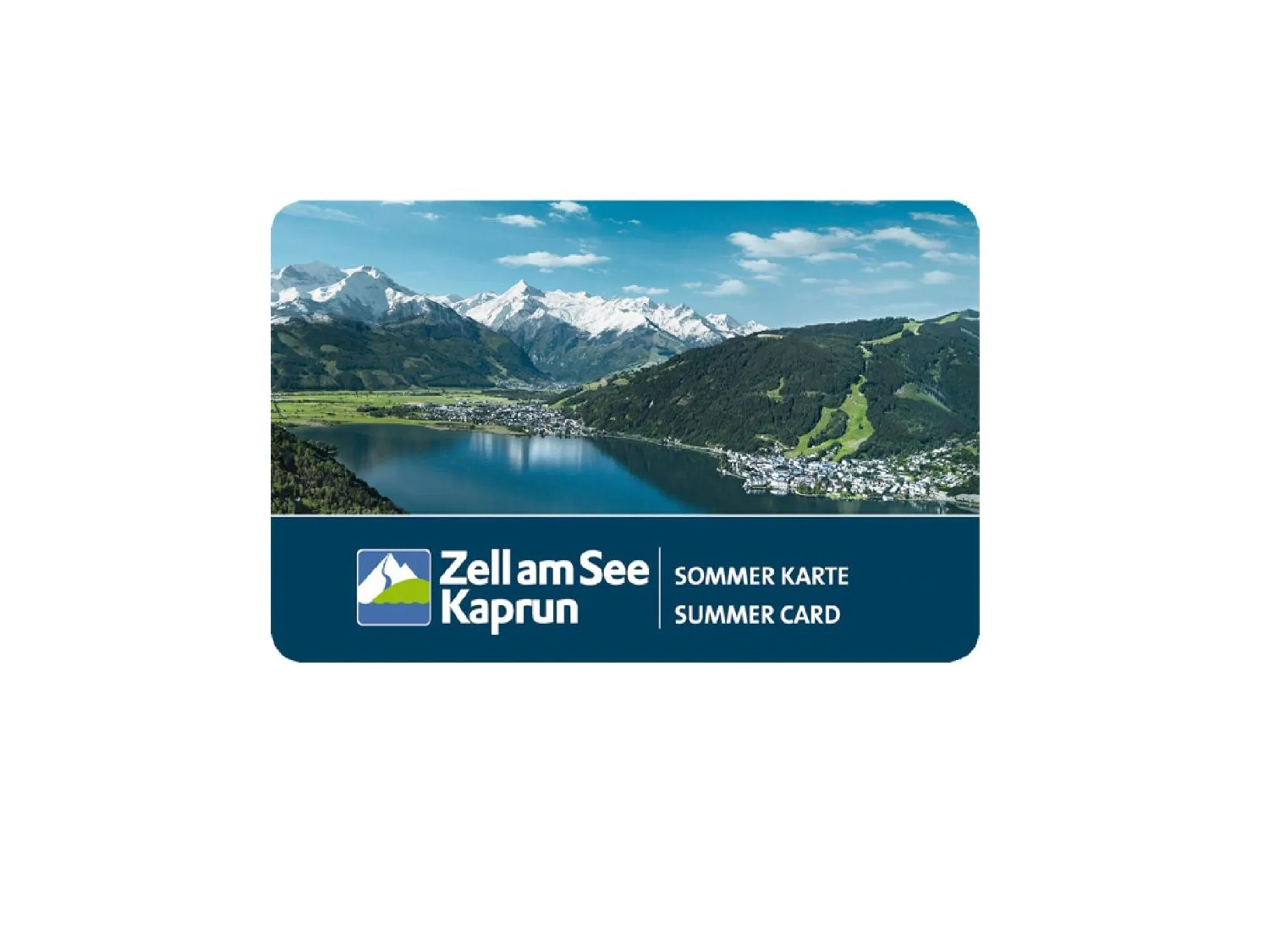 Logo/Certificate/Sign in die Schneiderei