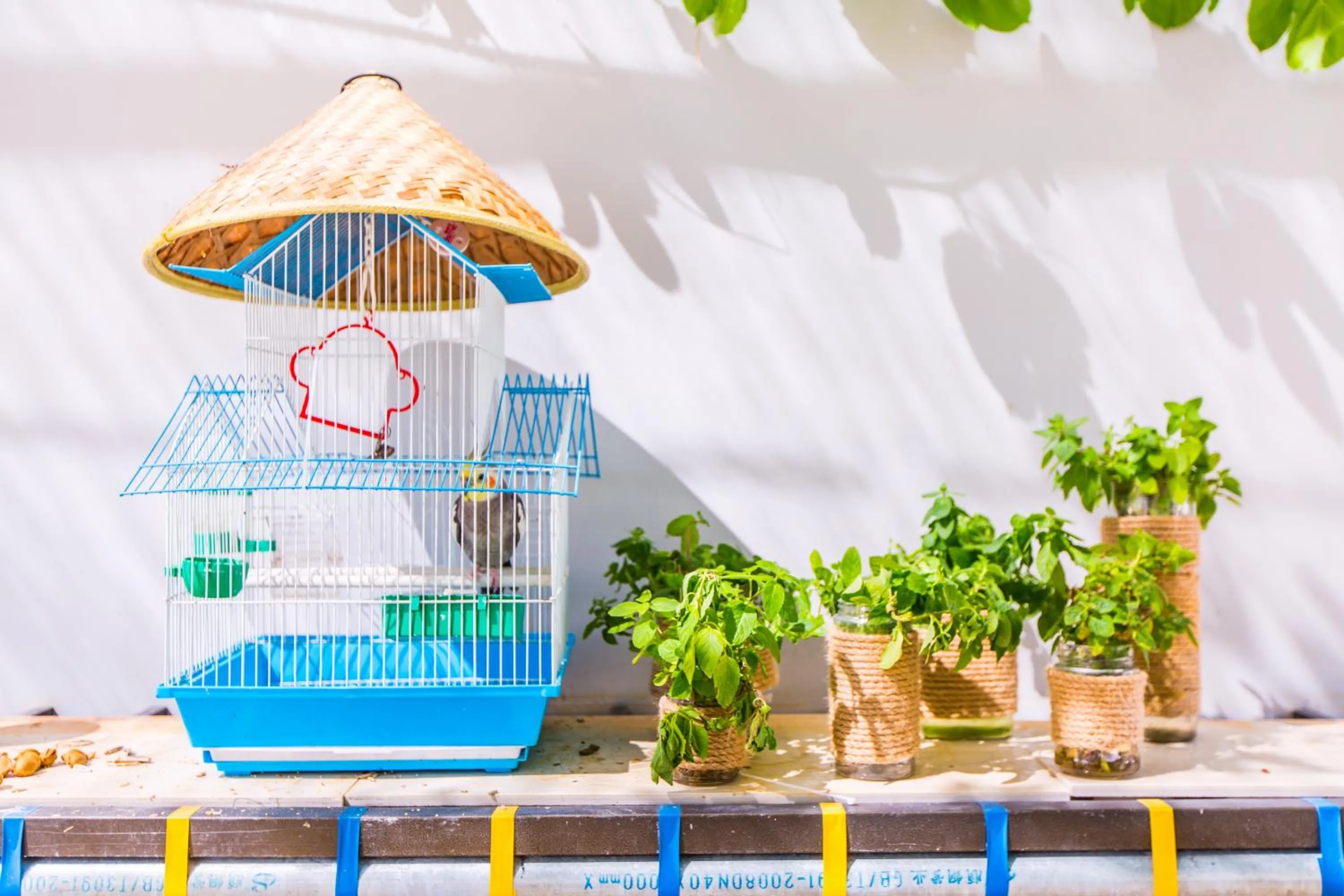 Garden in Sanya Passion fruit Inn