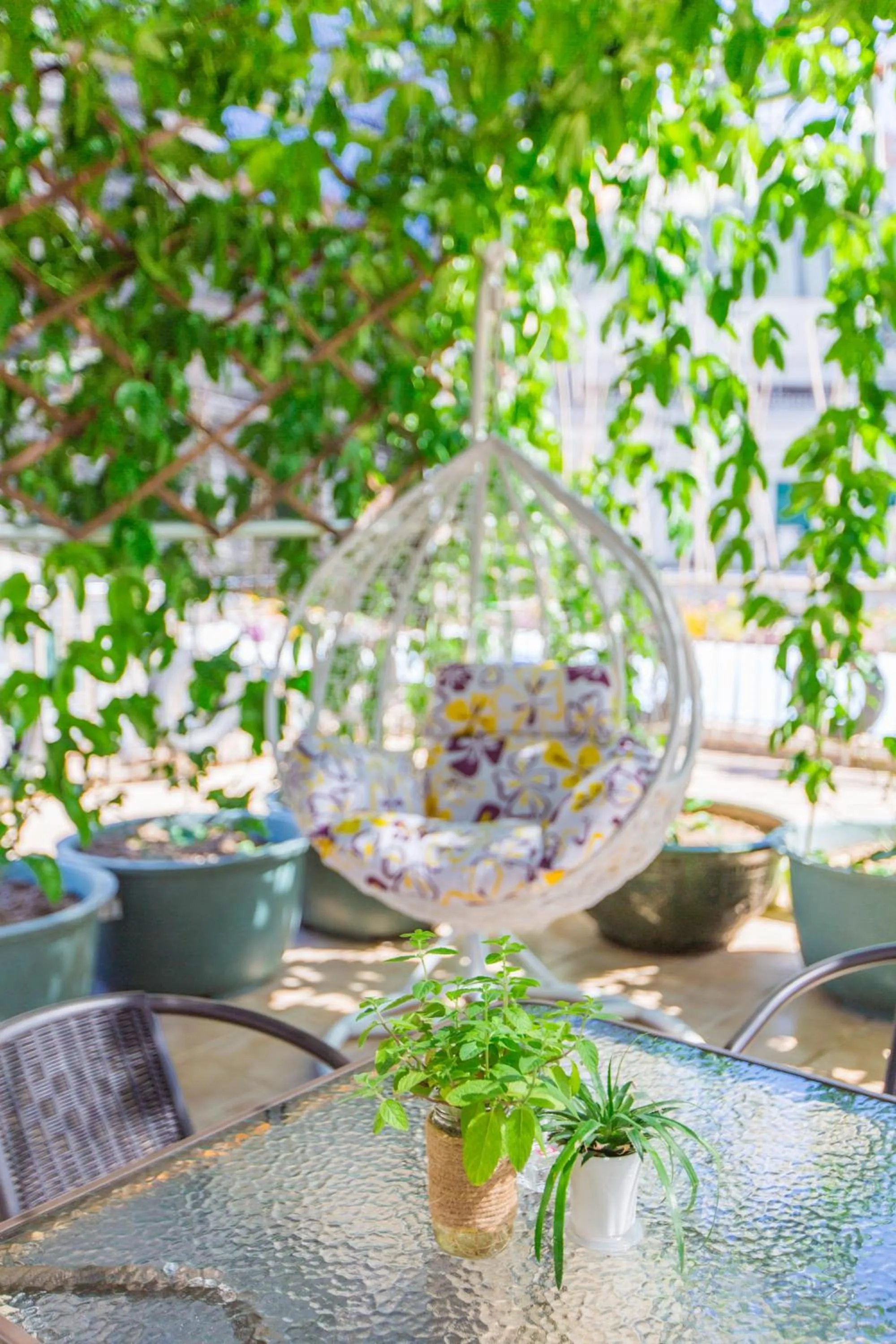 Garden in Sanya Passion fruit Inn