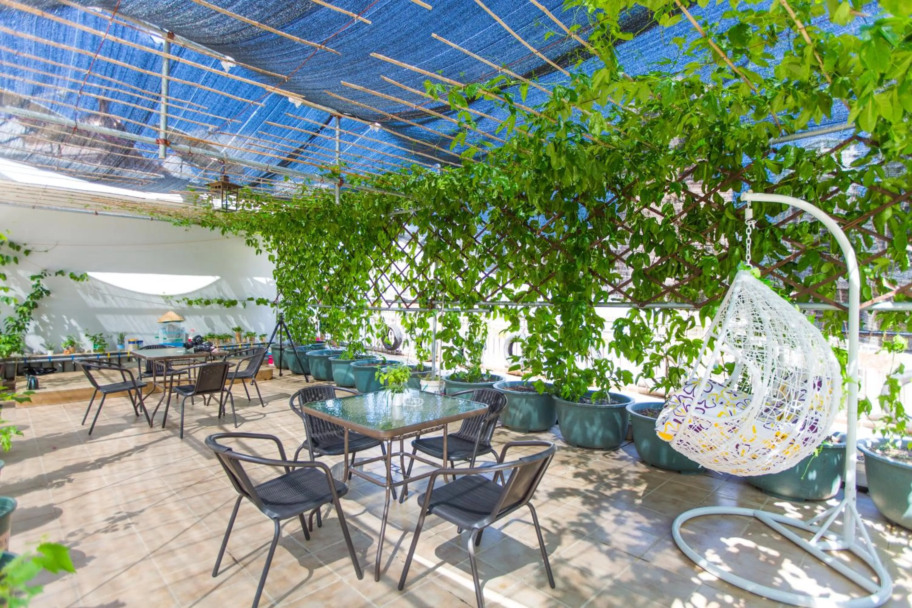 Garden in Sanya Passion fruit Inn