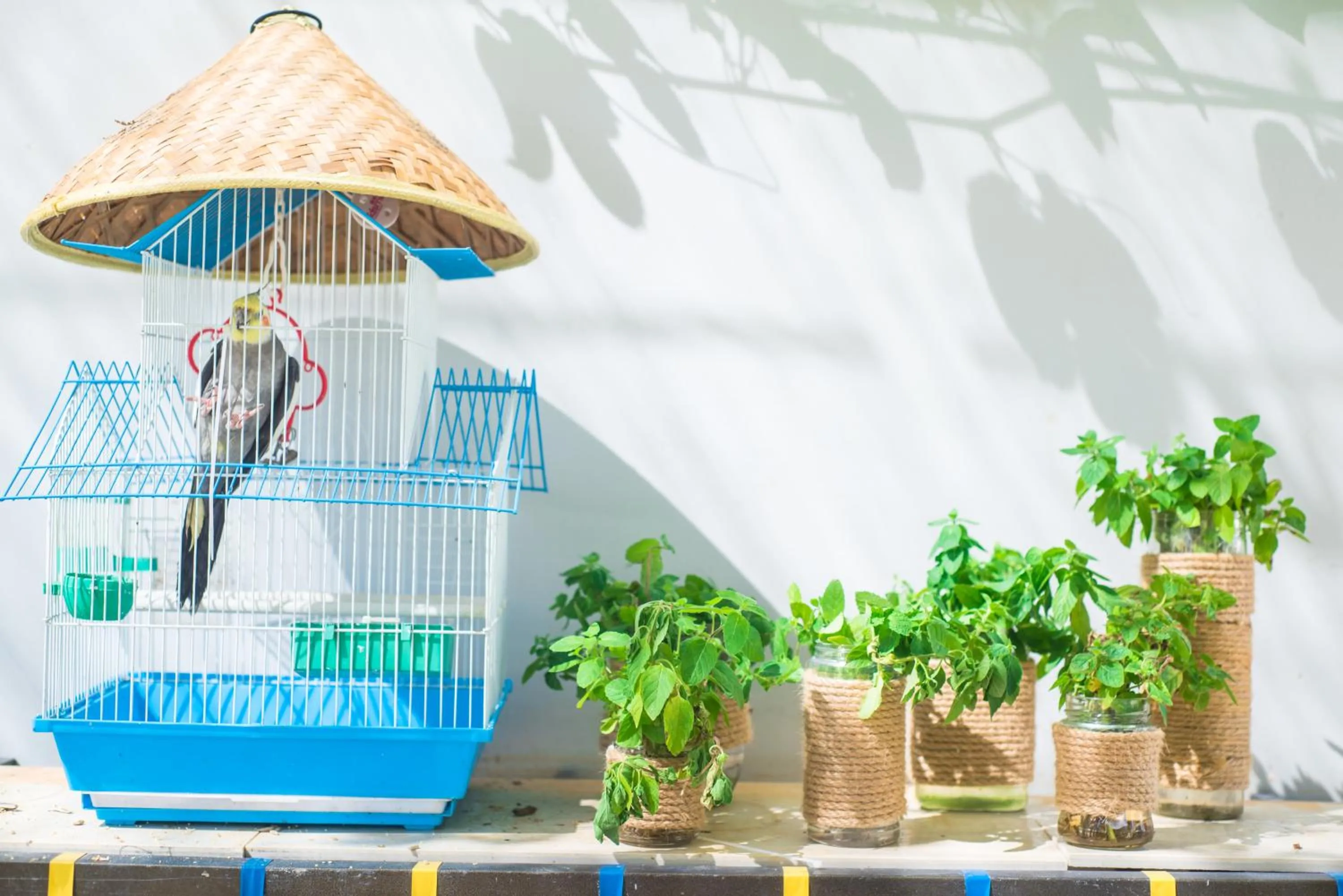 Balcony/Terrace in Sanya Passion fruit Inn