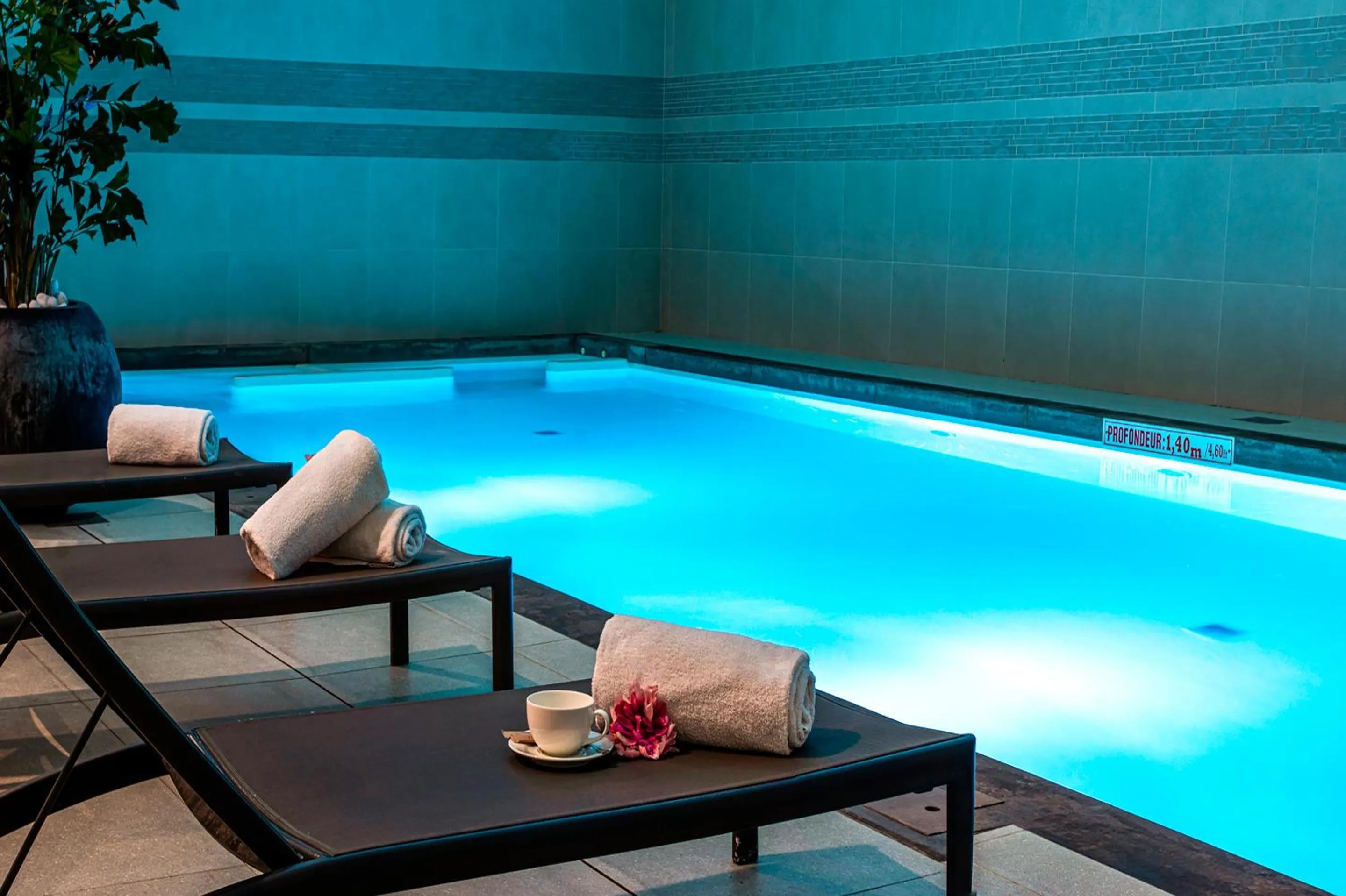 Swimming pool in Holiday Inn Mulhouse by IHG