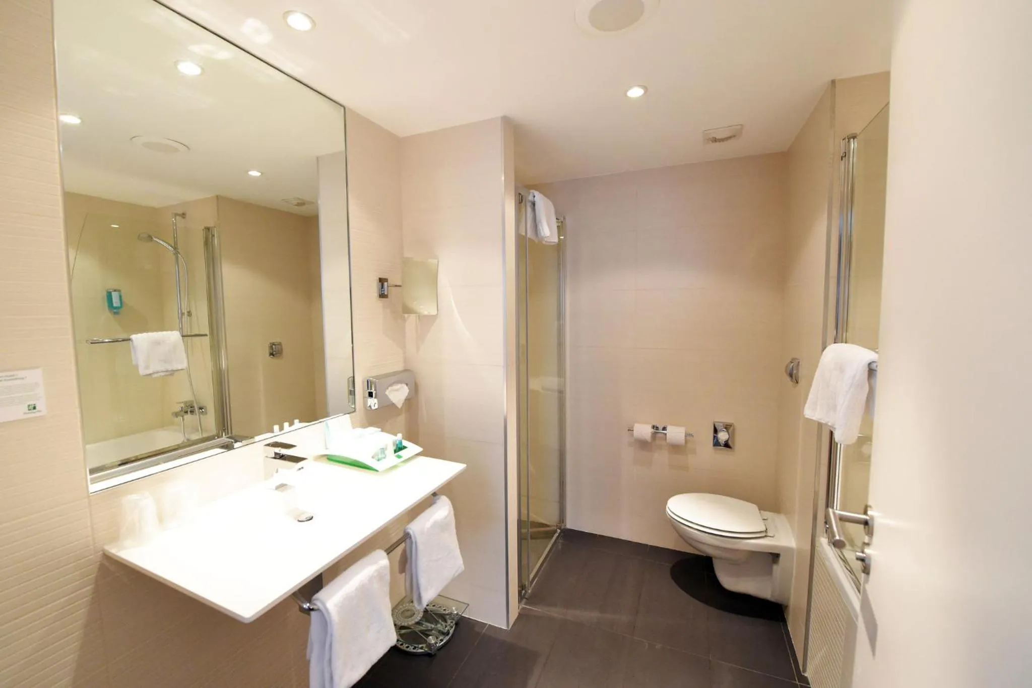 Bathroom in Holiday Inn Mulhouse by IHG