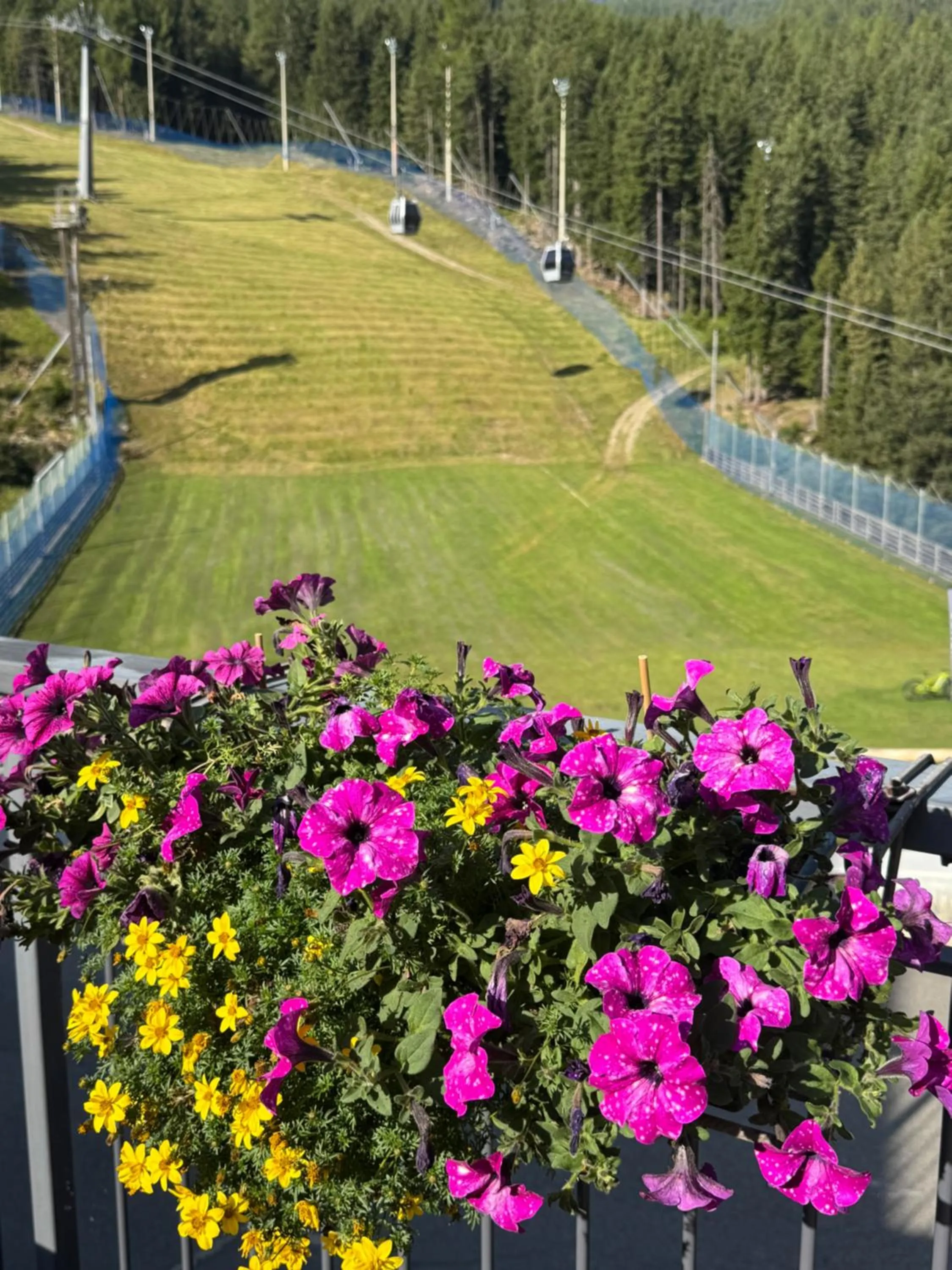 Natural landscape in Hotel Genzianella