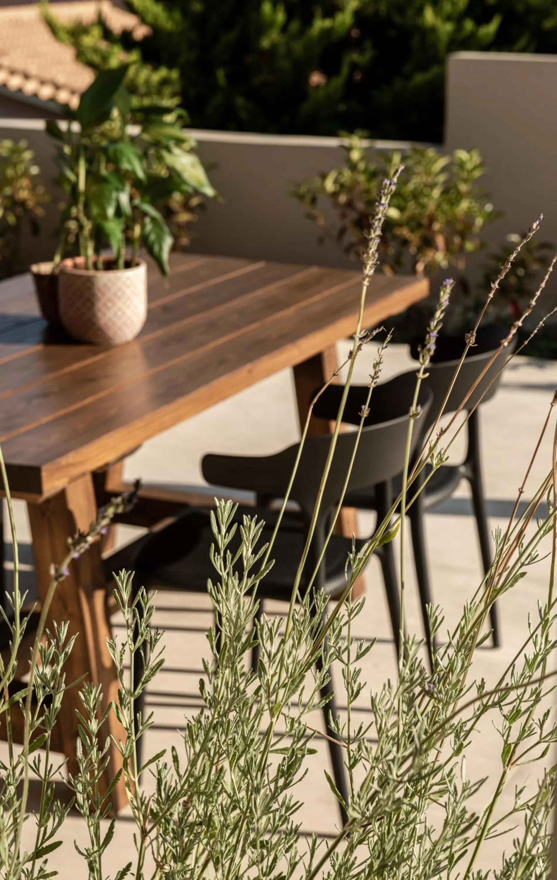 Garden in Ananta Blue Residence