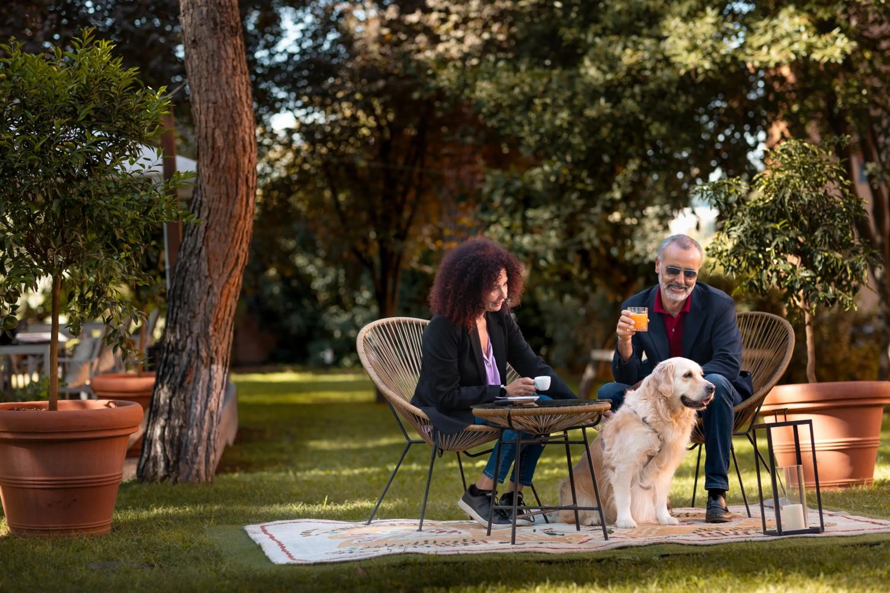 Day in Phi Hotel Garden Area Roma Eur