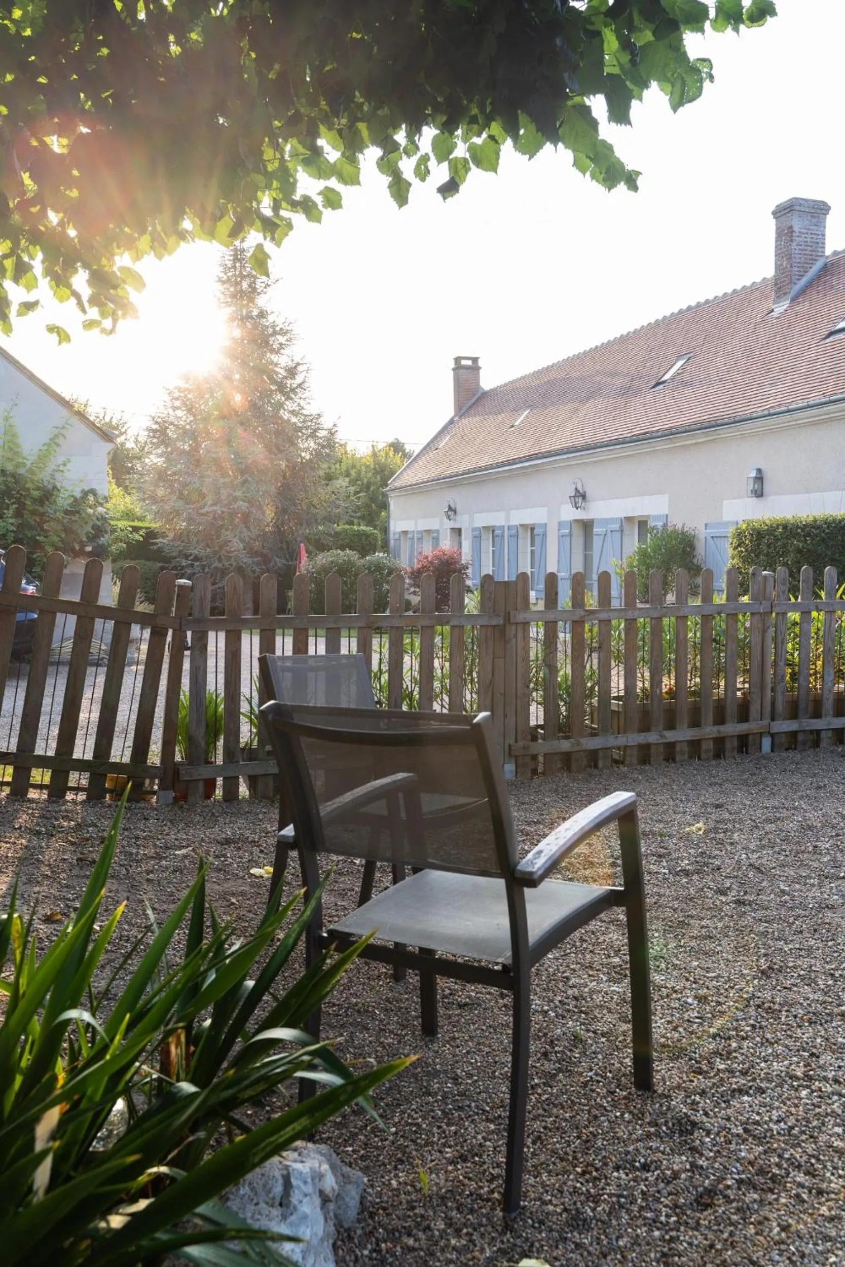 Garden in Le Clos de La Rousselière B and B