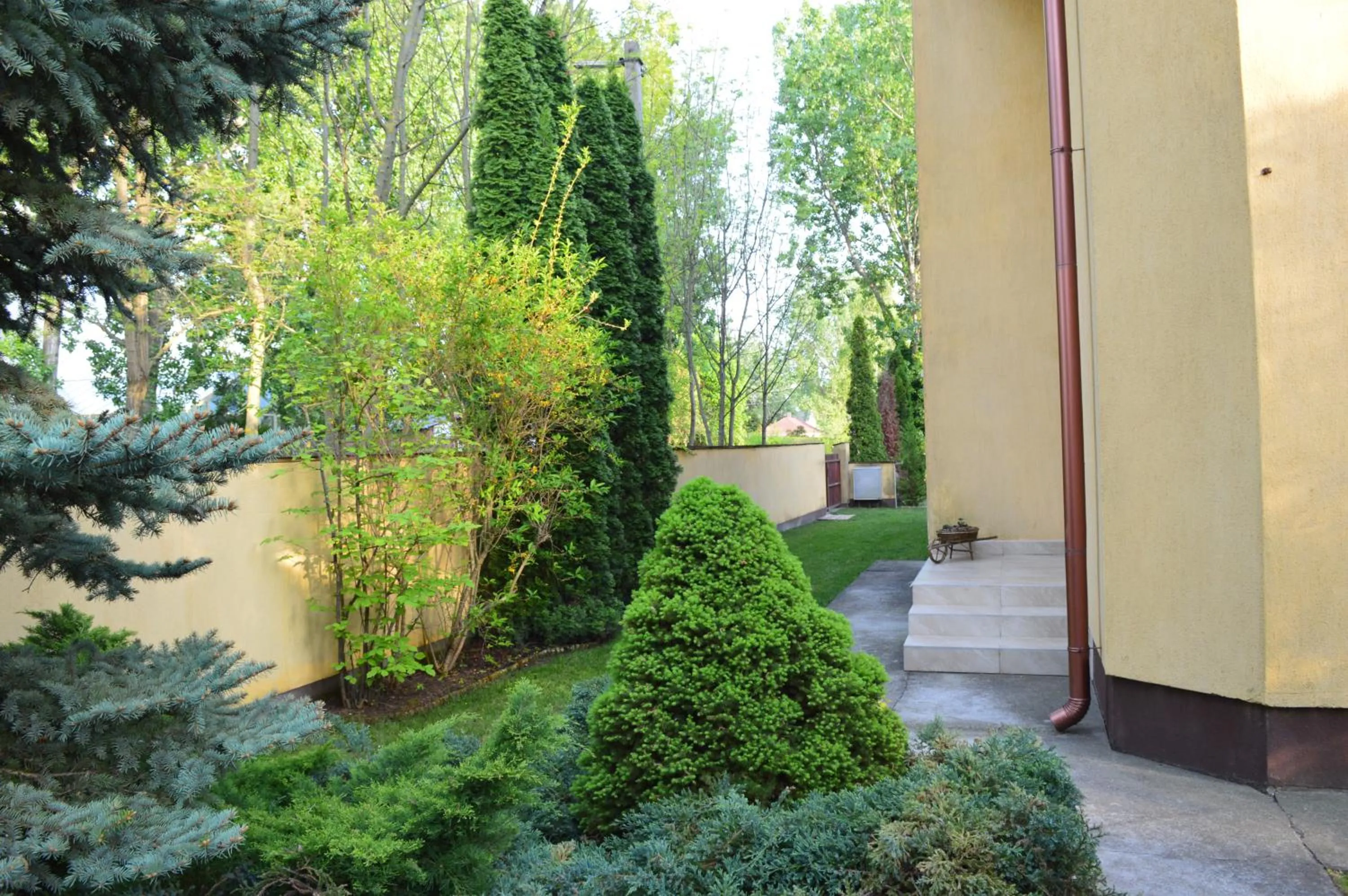 Garden in Villa - ZMRD