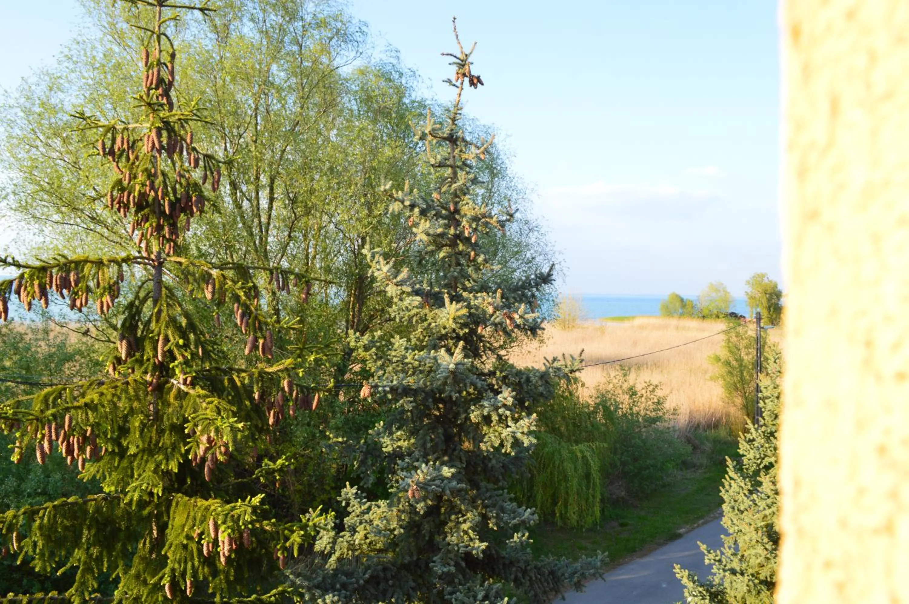 Lake view in Villa - ZMRD