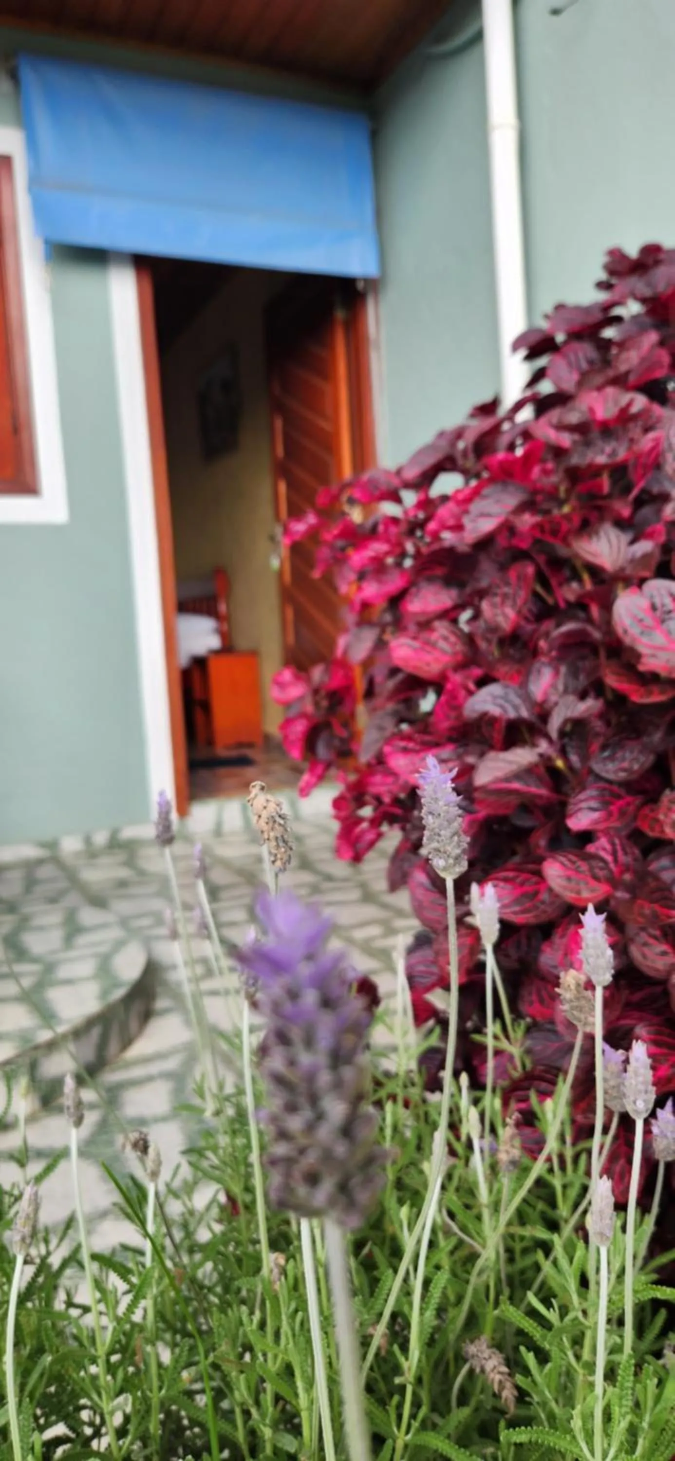 Garden in Pousada Araucária Village