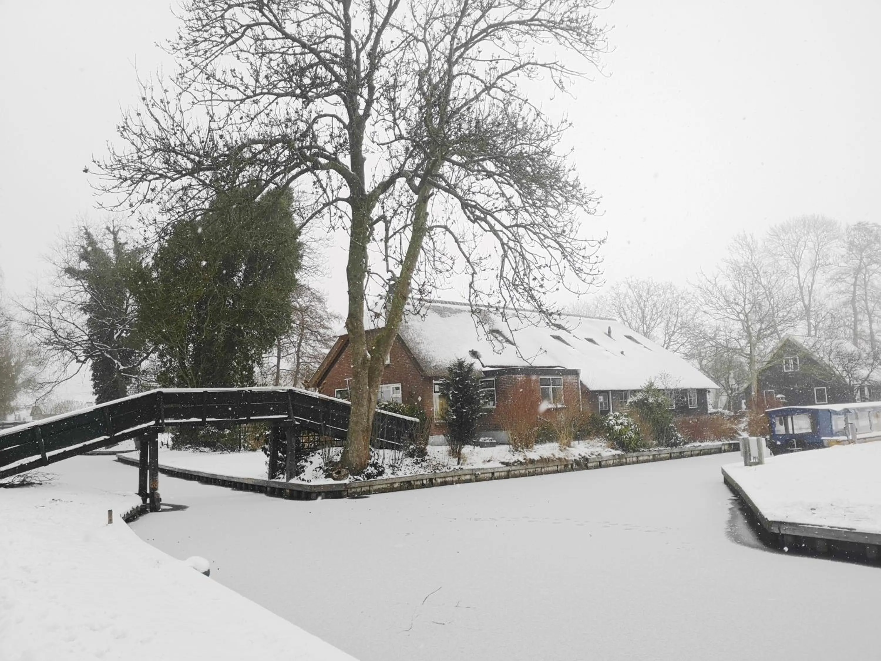 Facade/entrance in The Black Sheep Hostel