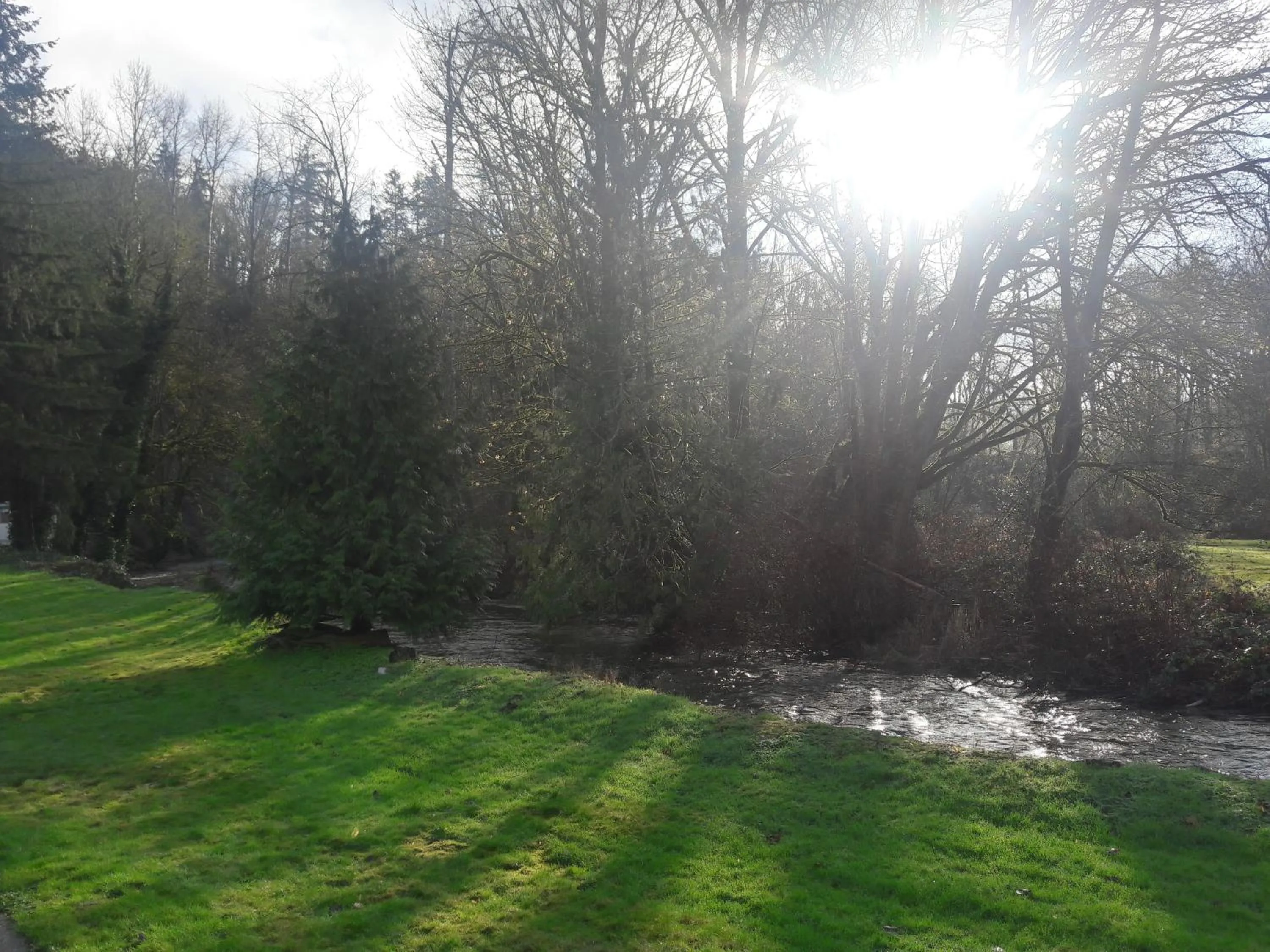 Natural landscape in Monroe Motel