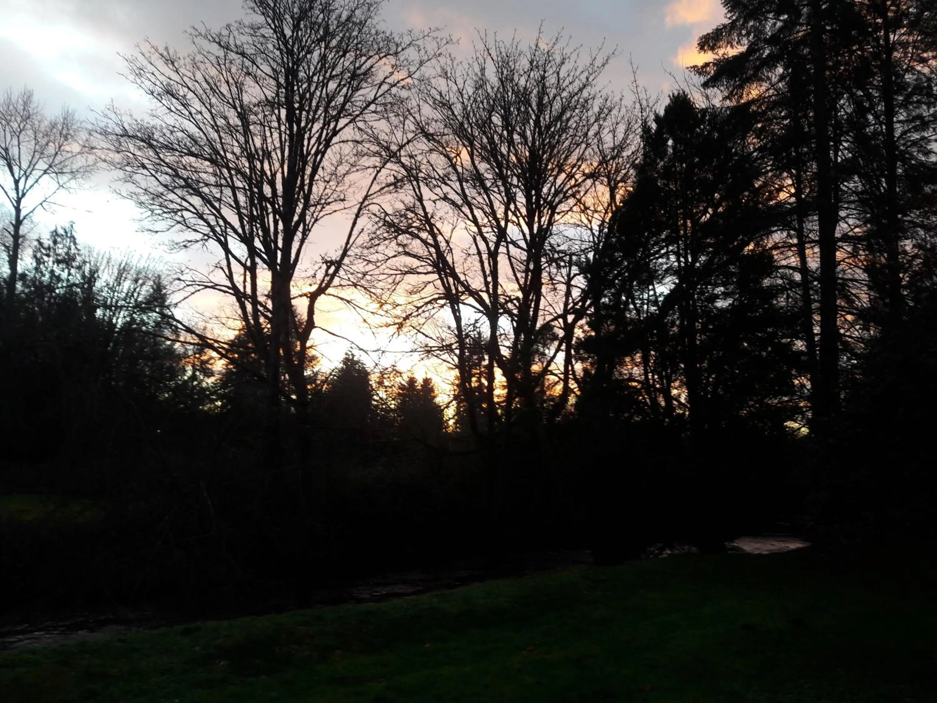 View (from property/room) in Monroe Motel