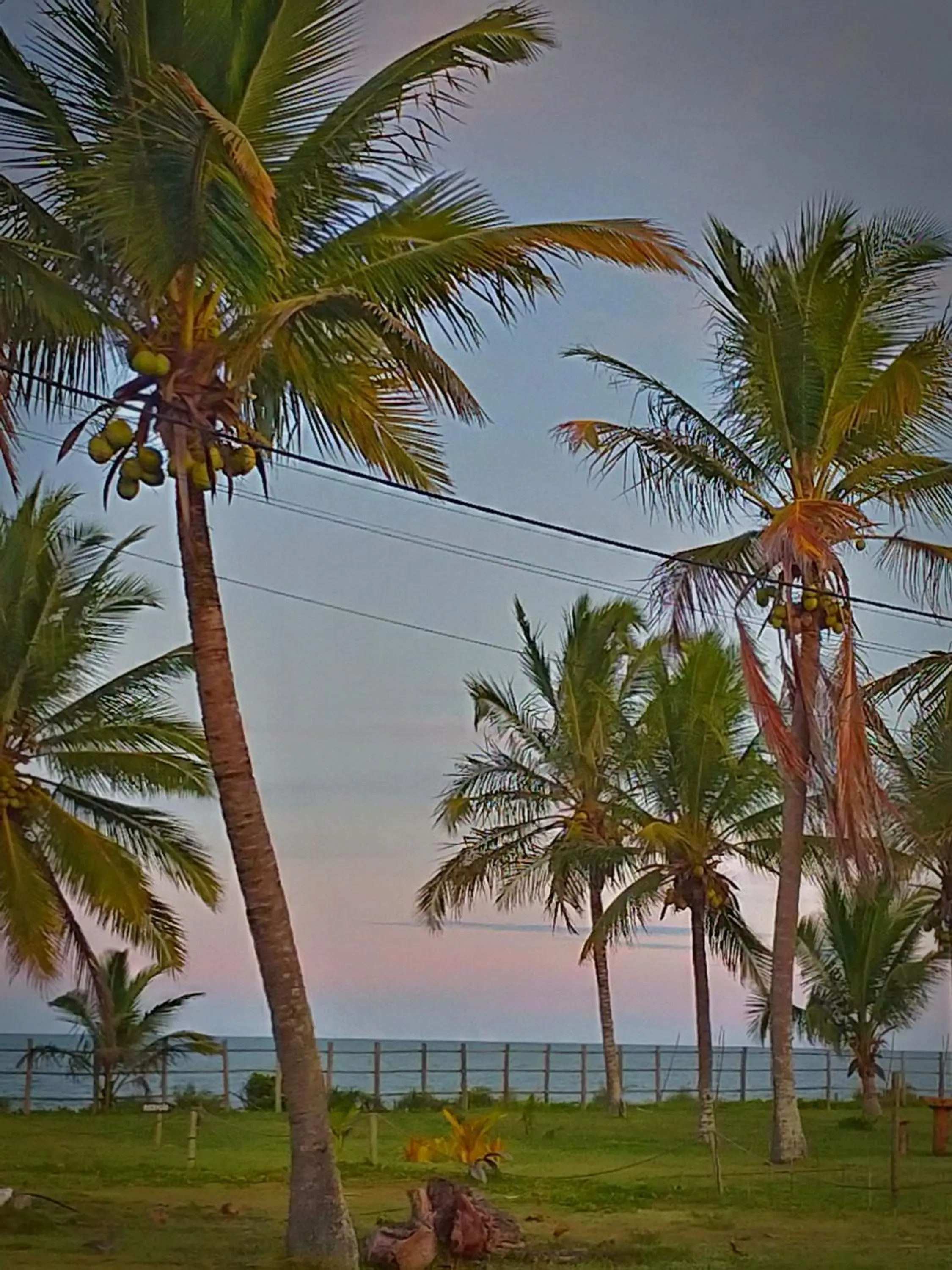 View (from property/room) in Pousada Pedra do Negro