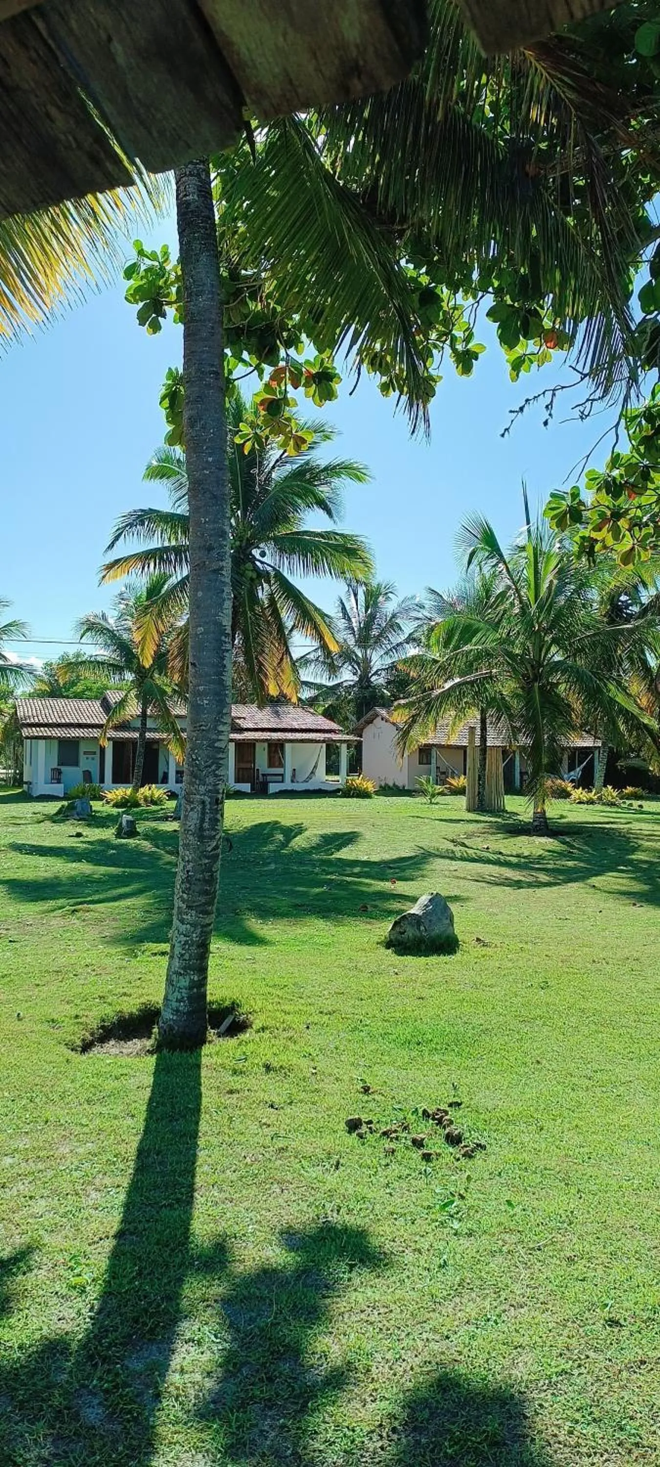 Garden in Pousada Pedra do Negro