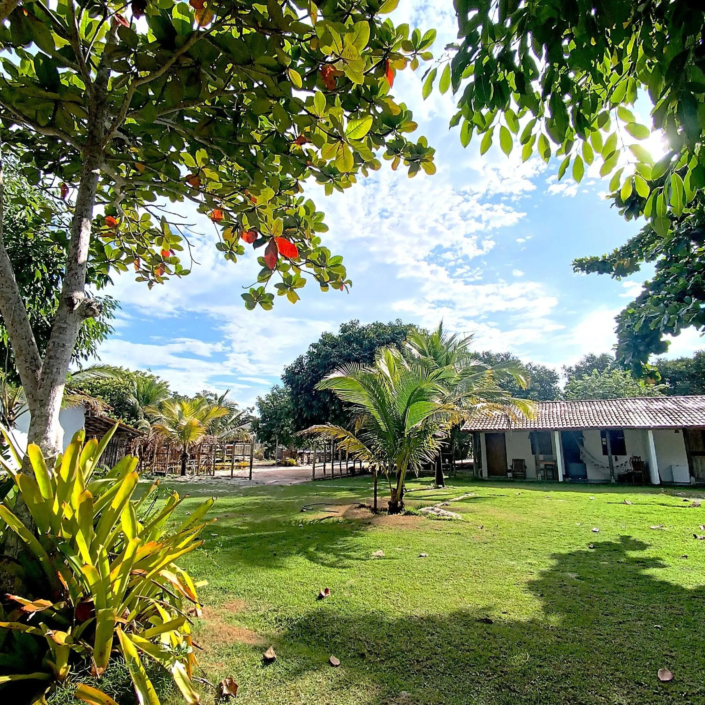 Garden in Pousada Pedra do Negro
