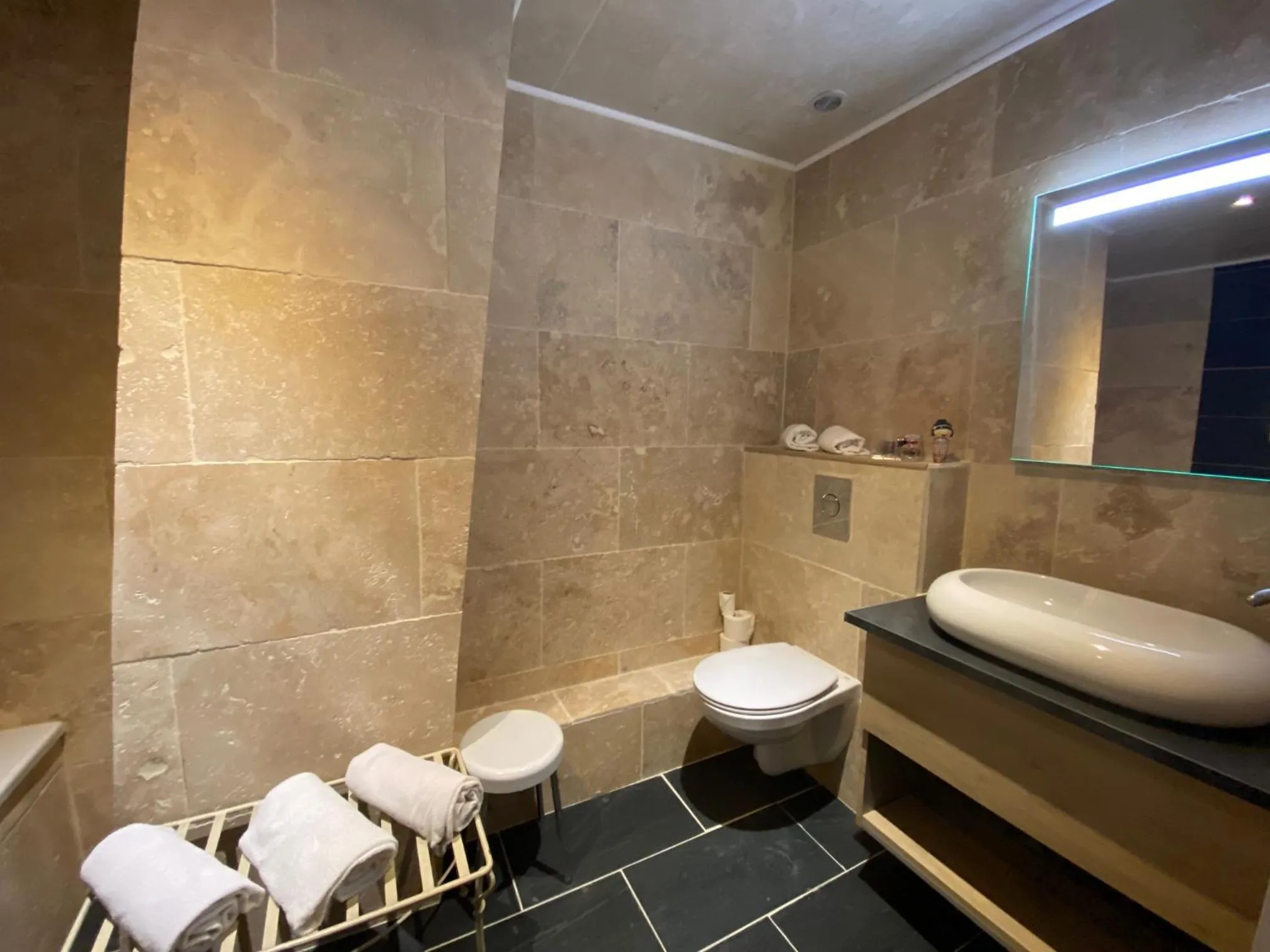 Toilet in Hôtel Le Mas des Ecureuils