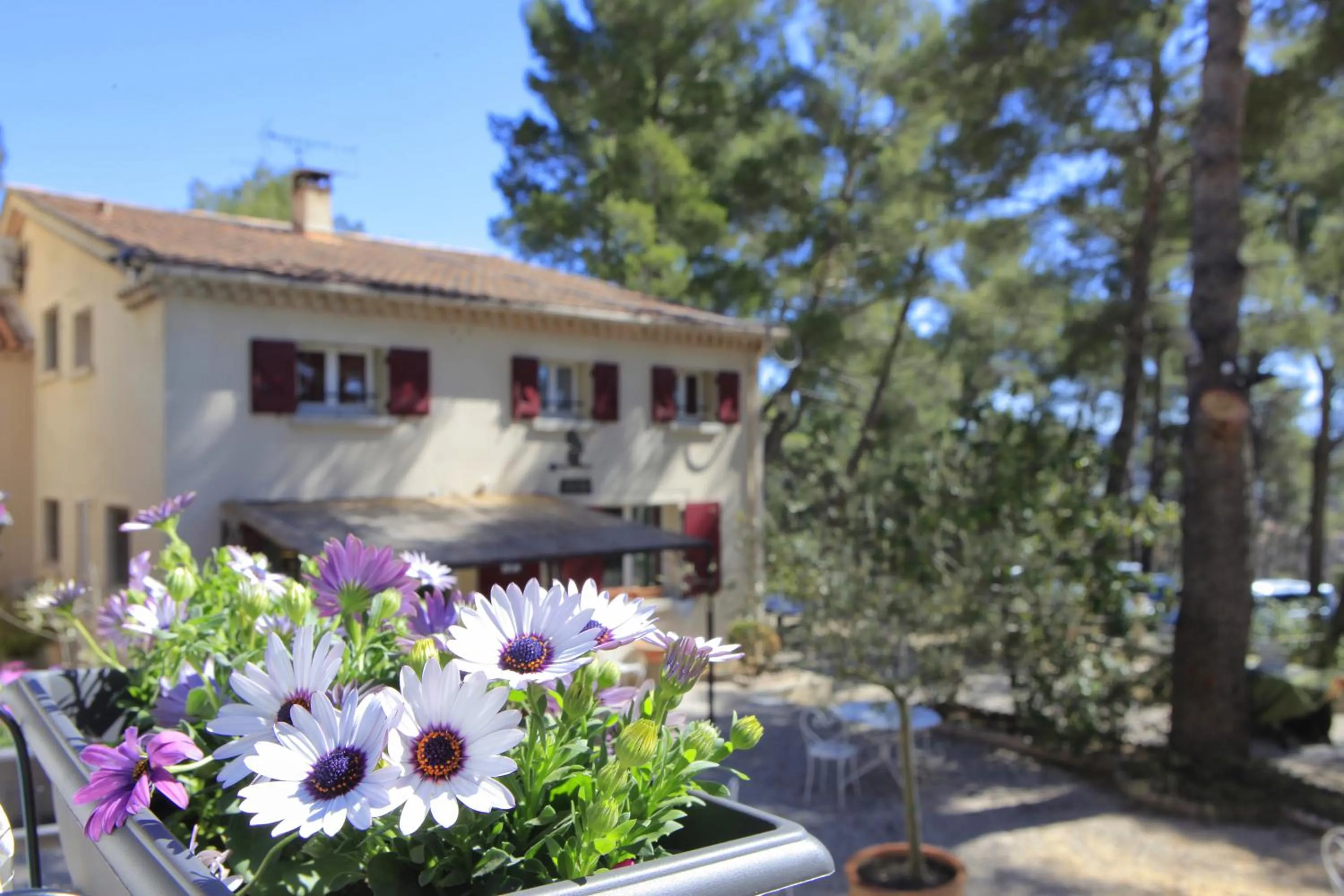 Lobby or reception in Hôtel Le Mas des Ecureuils