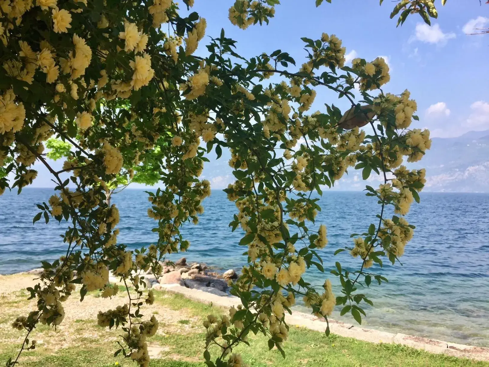 Garden, Beach in Piccolo Hotel Direkt am See