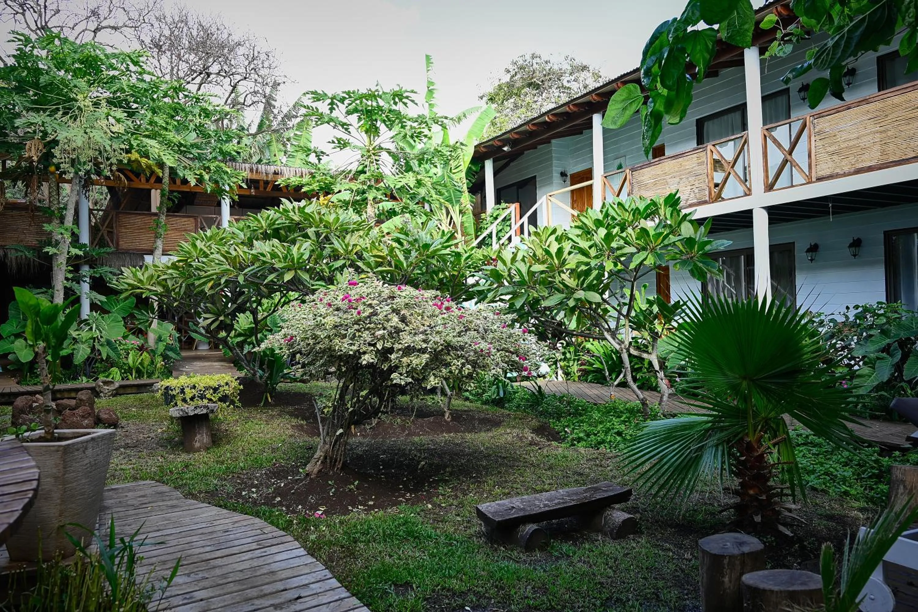 Property building in Hare Nua Hotel Boutique