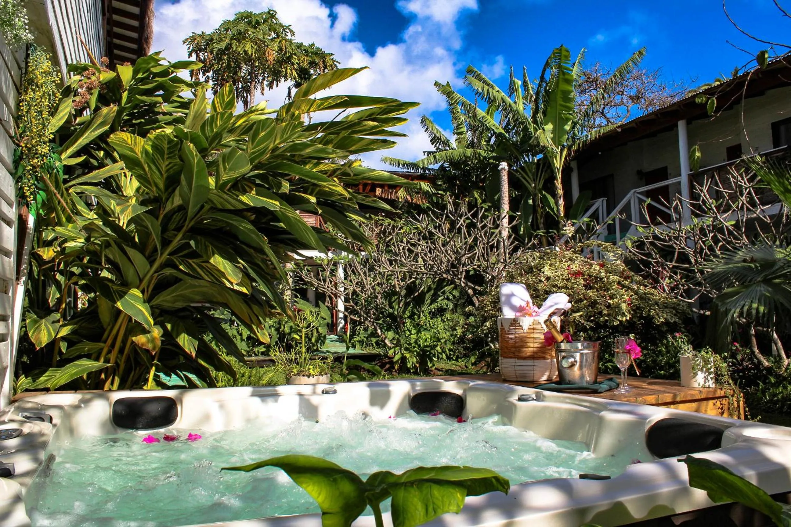 Garden in Hare Nua Hotel Boutique