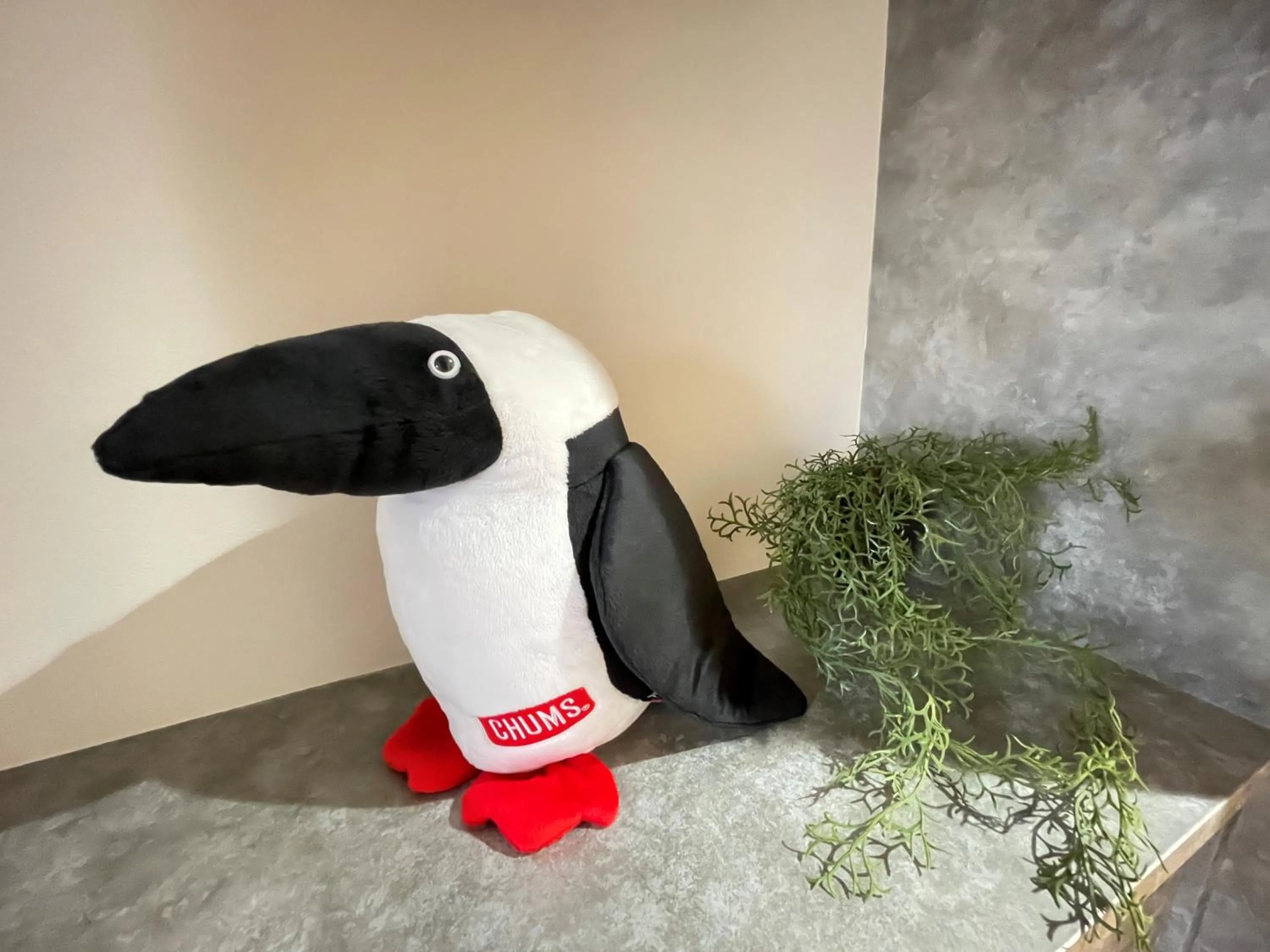 Photo of the whole room in 365BASE outdoor hostel