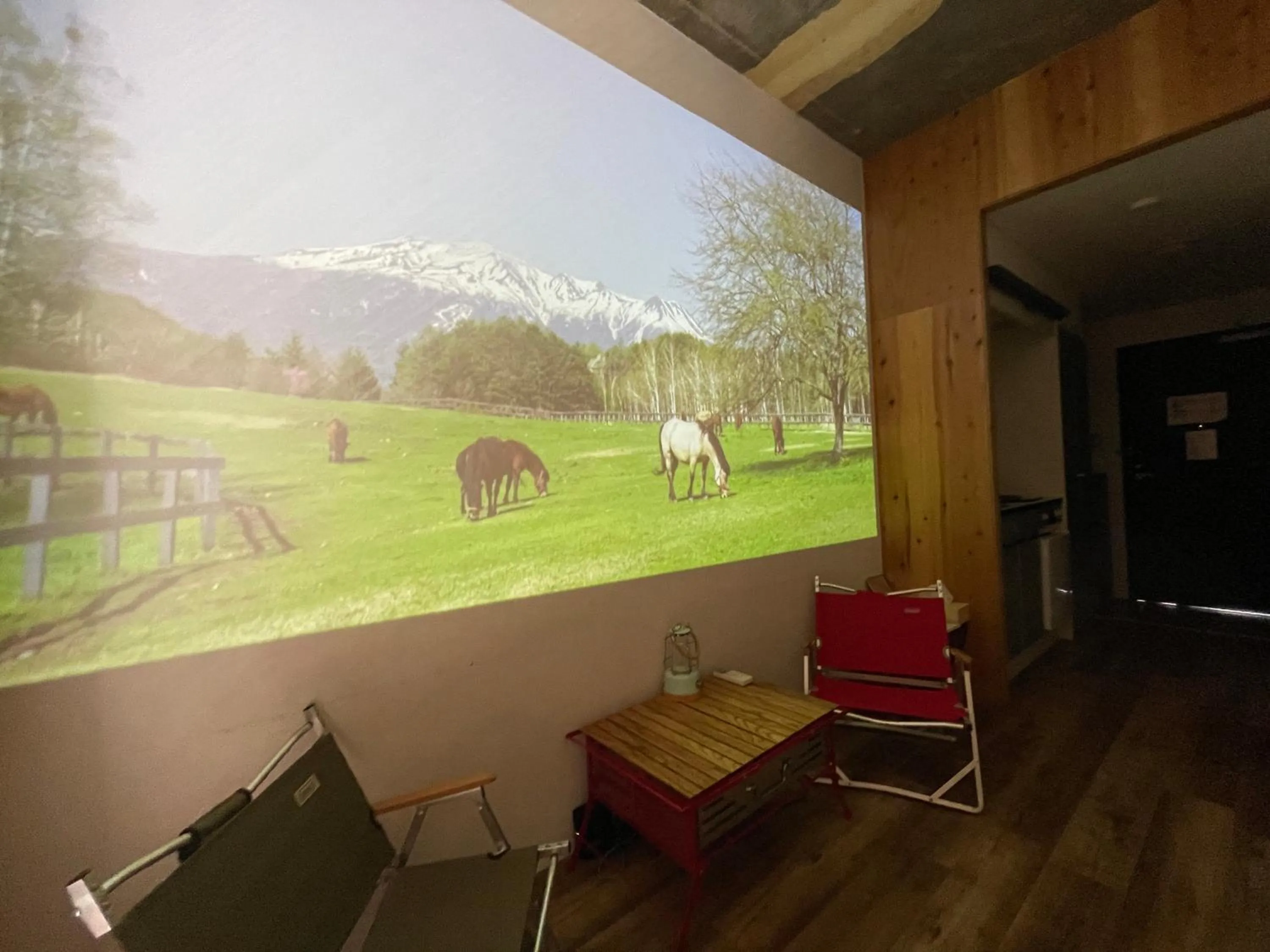 Photo of the whole room in 365BASE outdoor hostel