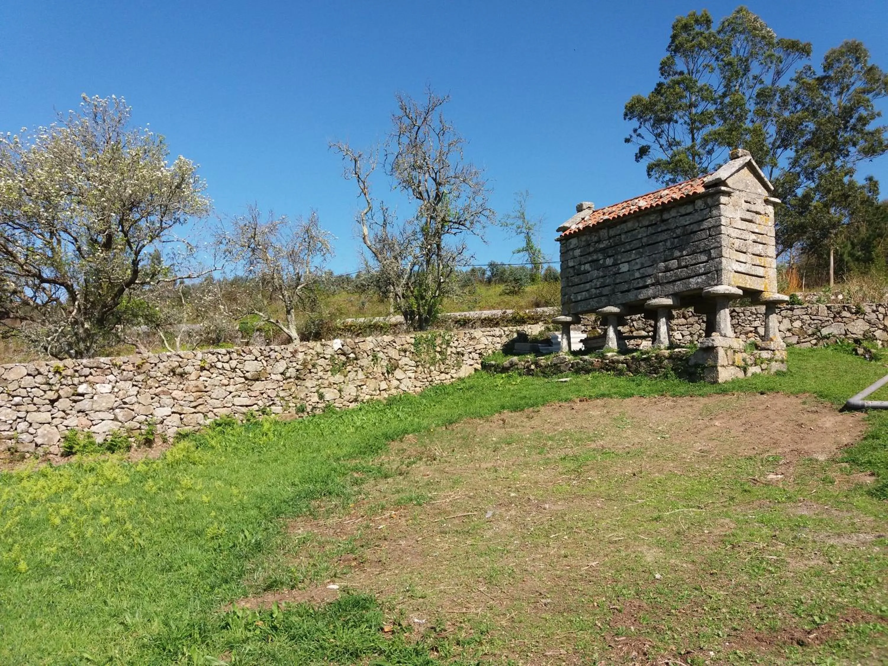 Garden in Monasterio de Moraime