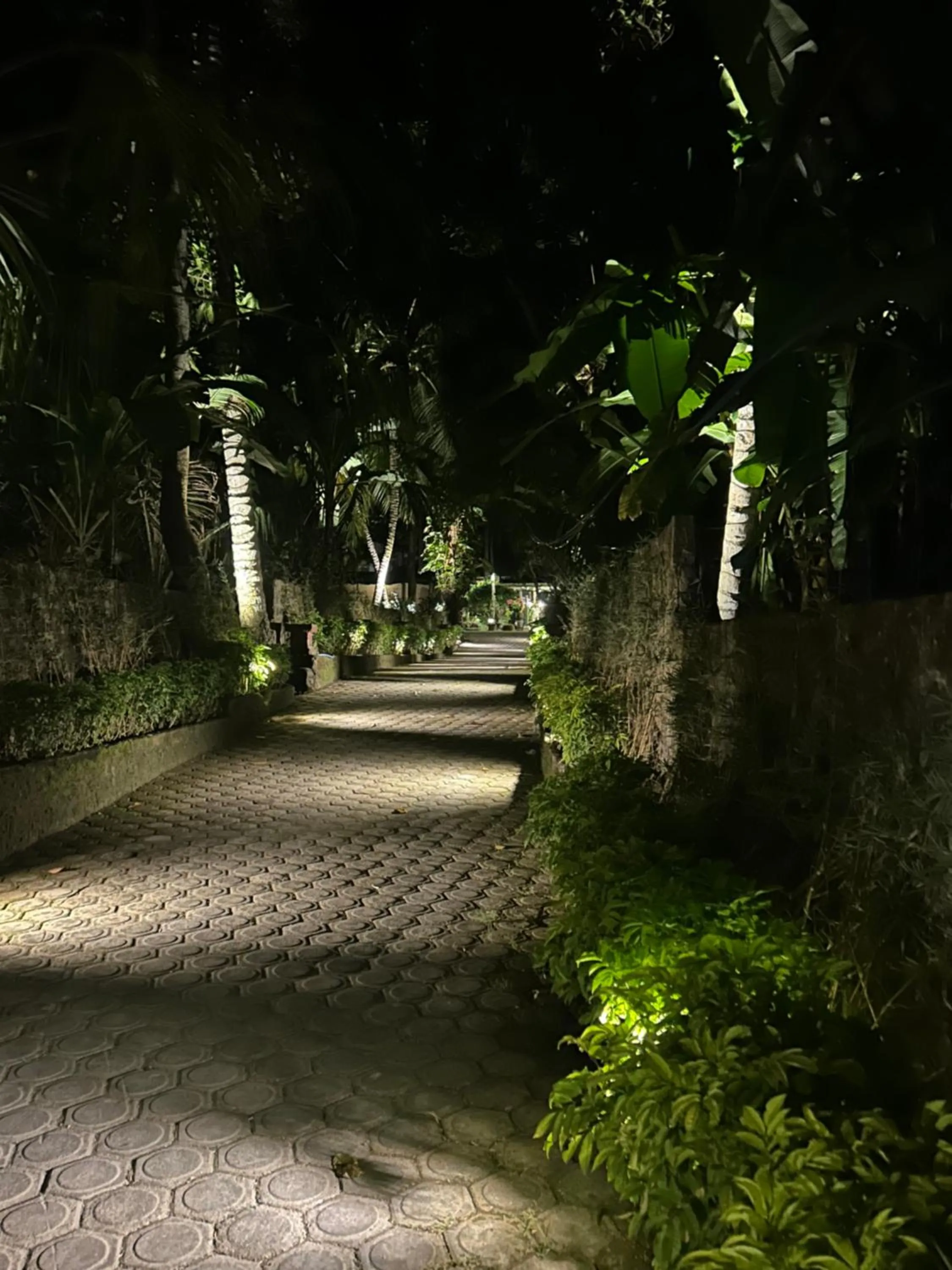 Night in Dasa Wana - DW Jungle Resort - Candidasa